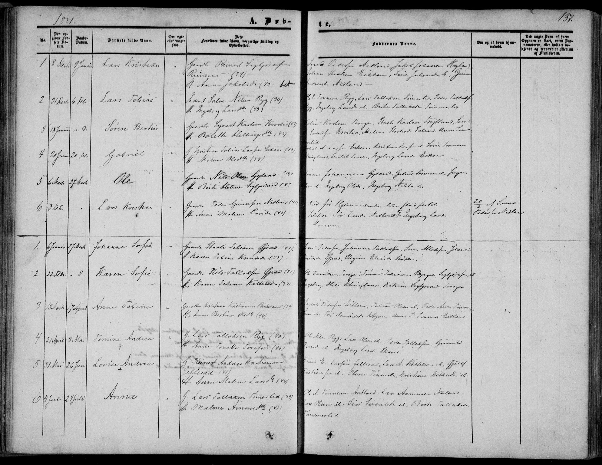 Bakke sokneprestkontor, SAK/1111-0002/F/Fa/Fab/L0002: Parish register (official) no. A 2, 1855-1884, p. 137