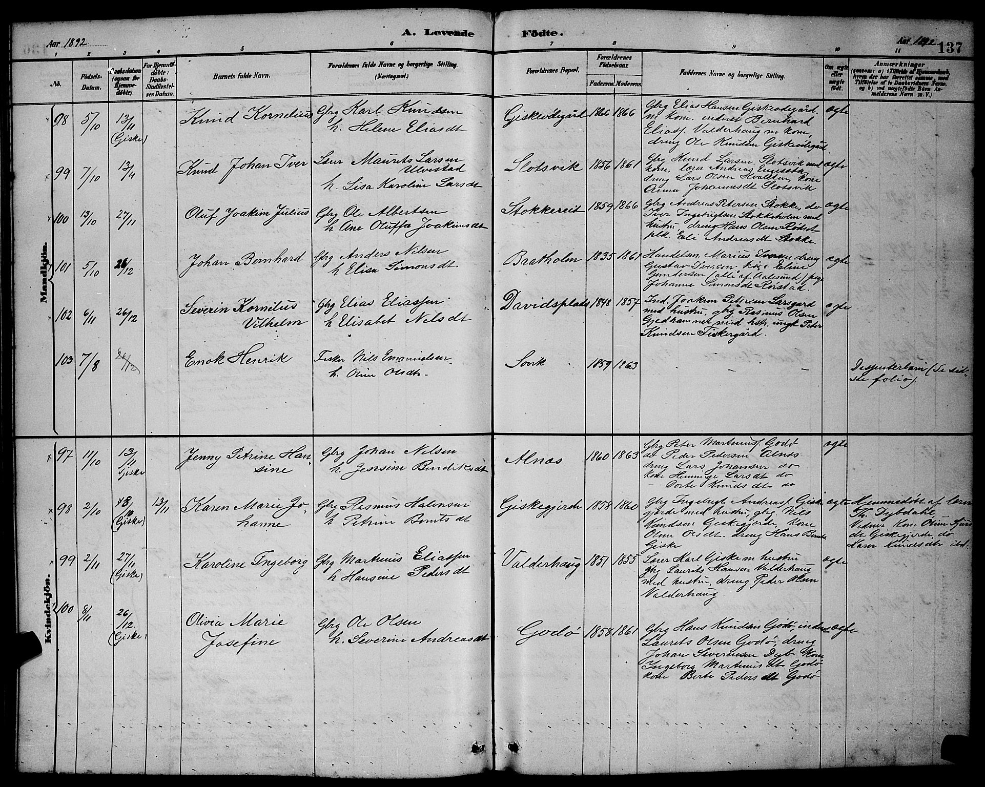 Ministerialprotokoller, klokkerbøker og fødselsregistre - Møre og Romsdal, AV/SAT-A-1454/528/L0431: Parish register (copy) no. 528C12, 1885-1898, p. 137