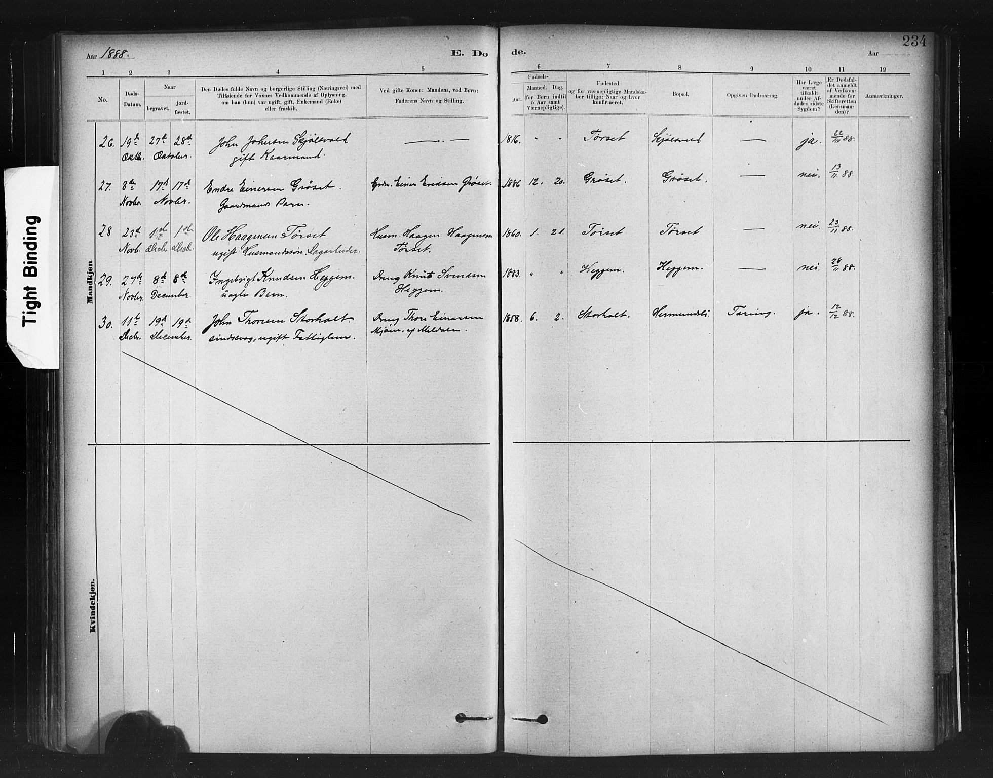 Ministerialprotokoller, klokkerbøker og fødselsregistre - Møre og Romsdal, AV/SAT-A-1454/598/L1069: Parish register (official) no. 598A03, 1882-1895, p. 234