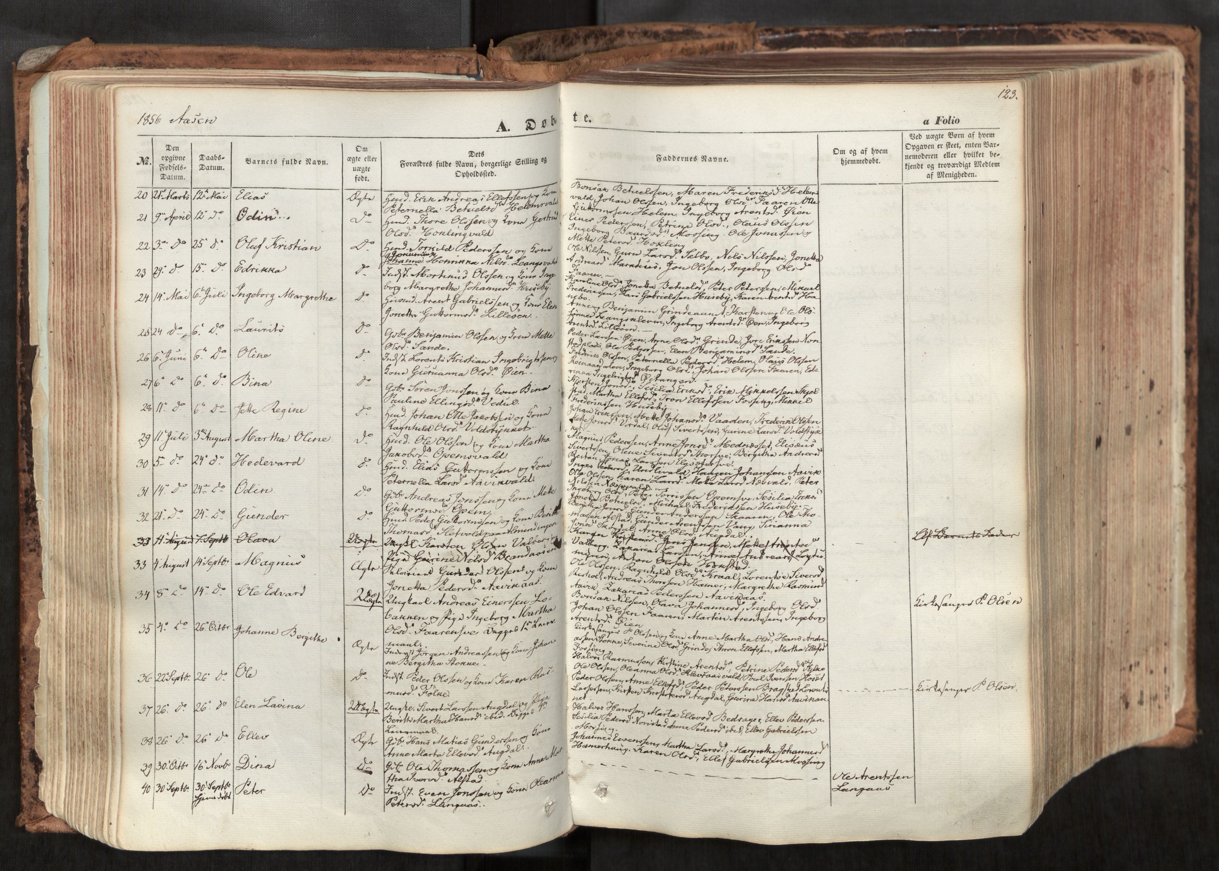 Ministerialprotokoller, klokkerbøker og fødselsregistre - Nord-Trøndelag, SAT/A-1458/713/L0116: Parish register (official) no. 713A07, 1850-1877, p. 123