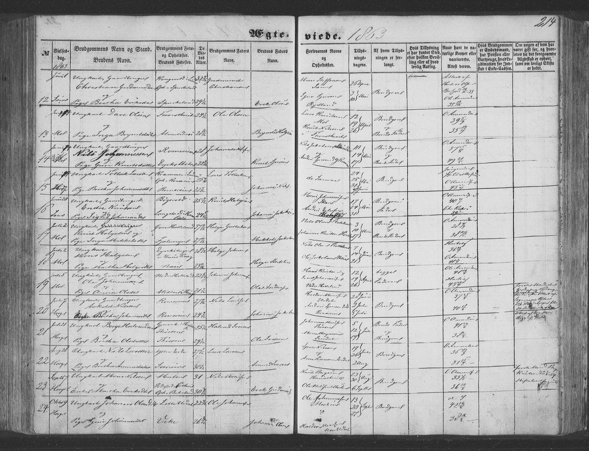 Hosanger sokneprestembete, AV/SAB-A-75801/H/Haa: Parish register (official) no. A 8, 1849-1863, p. 214