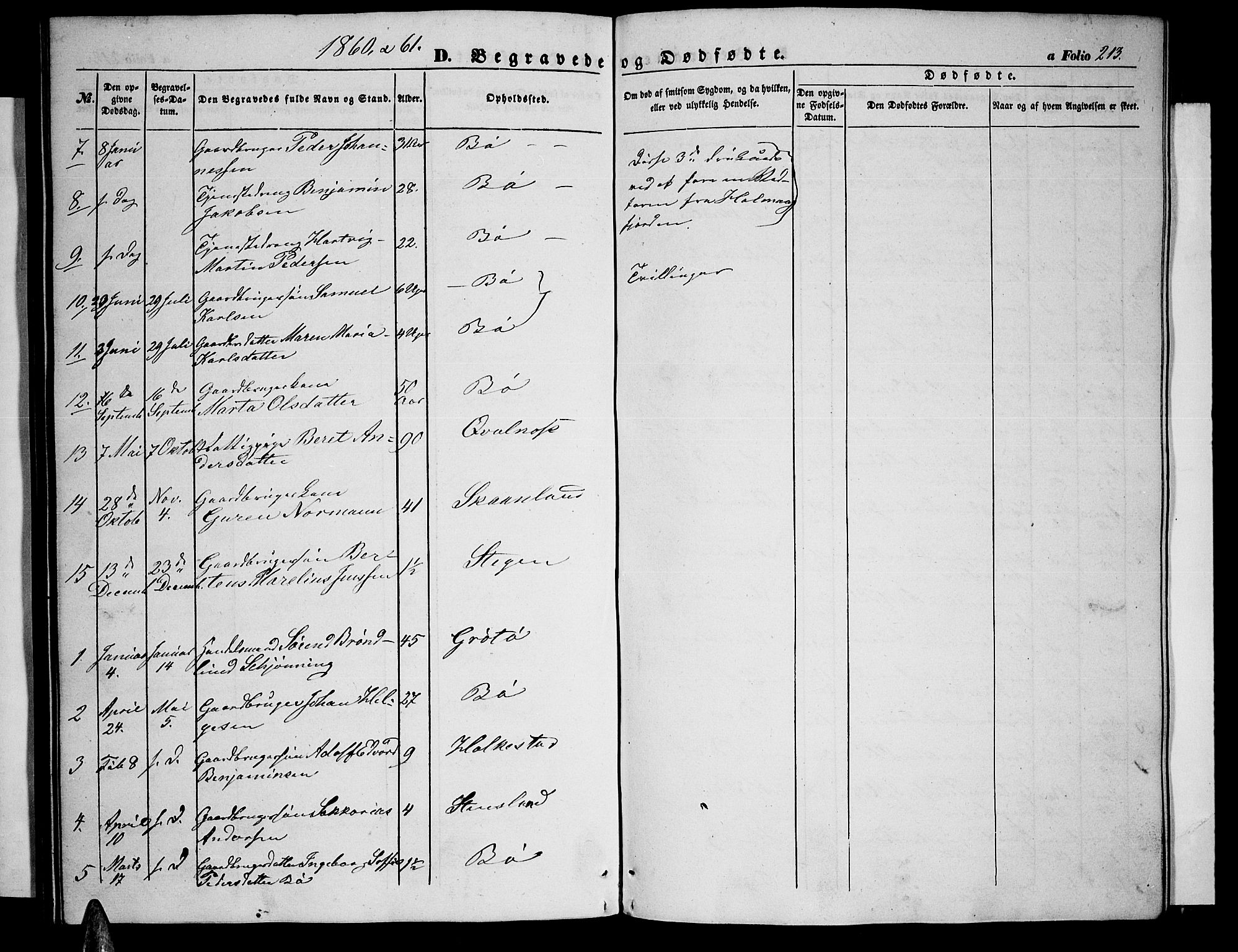 Ministerialprotokoller, klokkerbøker og fødselsregistre - Nordland, SAT/A-1459/855/L0814: Parish register (copy) no. 855C03, 1851-1864, p. 213