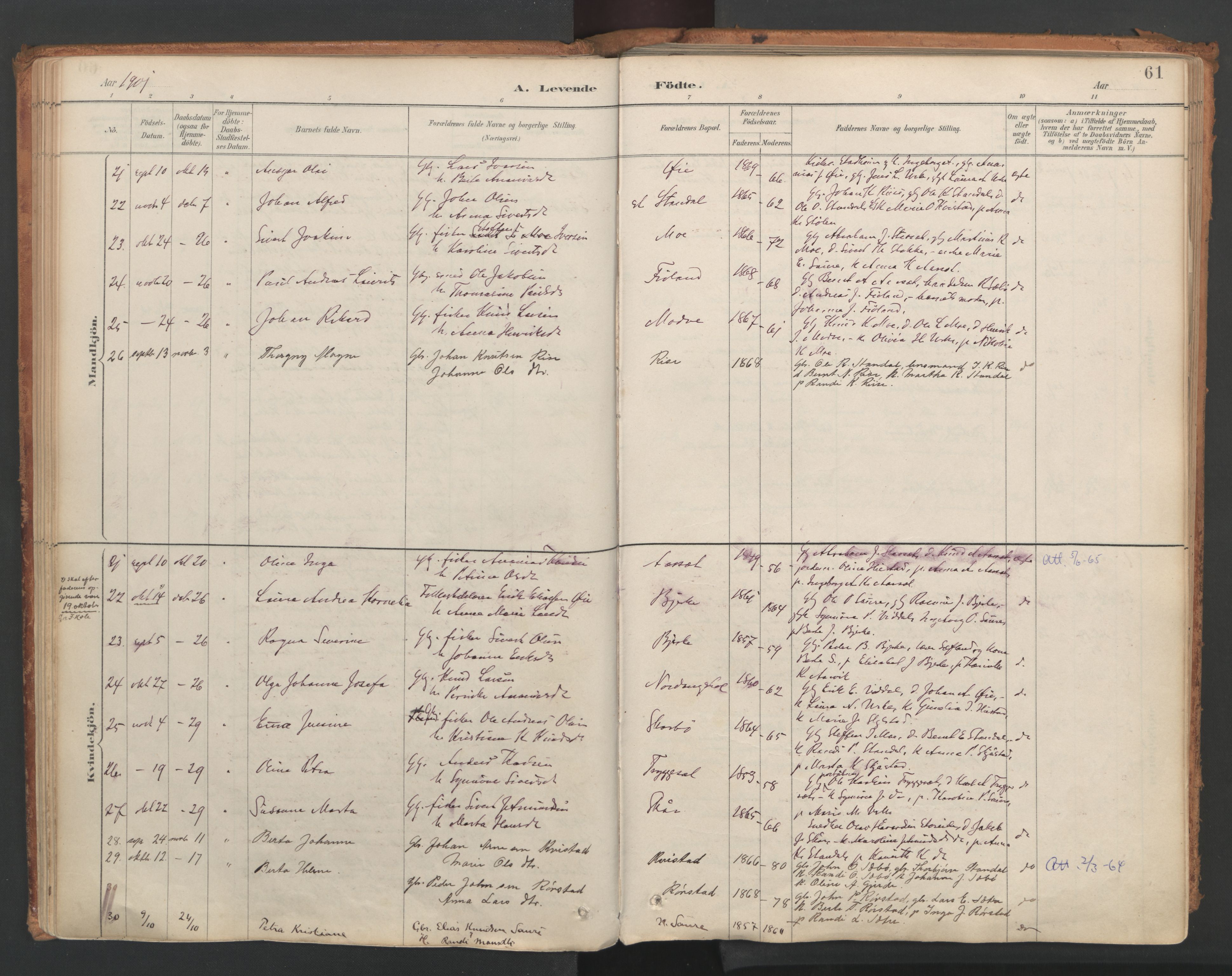 Ministerialprotokoller, klokkerbøker og fødselsregistre - Møre og Romsdal, SAT/A-1454/515/L0211: Parish register (official) no. 515A07, 1886-1910, p. 61