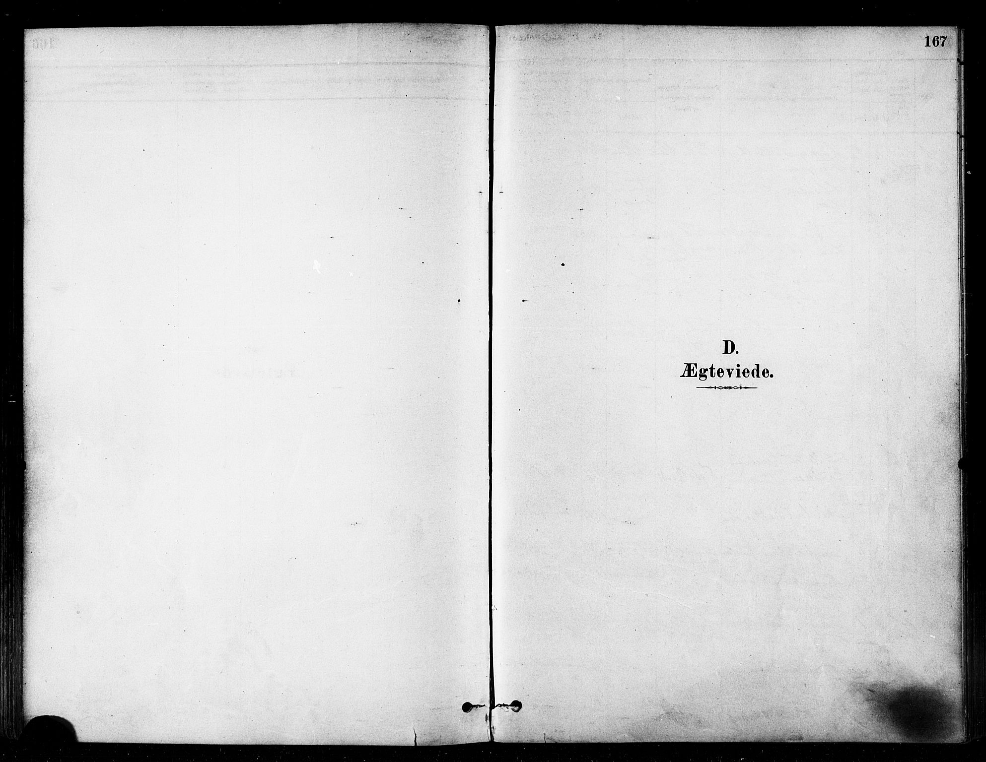 Vardø sokneprestkontor, SATØ/S-1332/H/Ha/L0006kirke: Parish register (official) no. 6, 1879-1886, p. 167