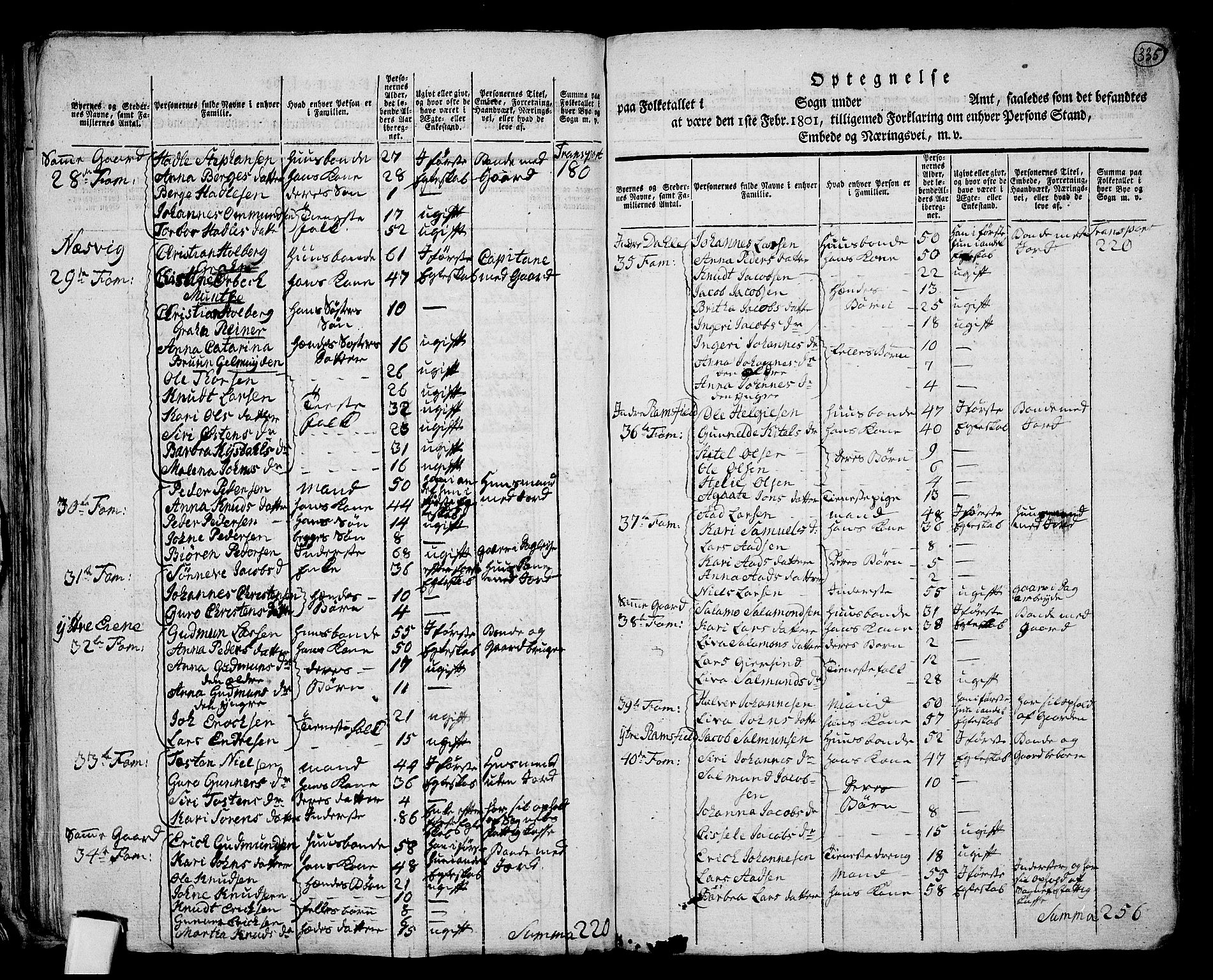 RA, 1801 census for 1133P Hjelmeland, 1801, p. 334b-335a