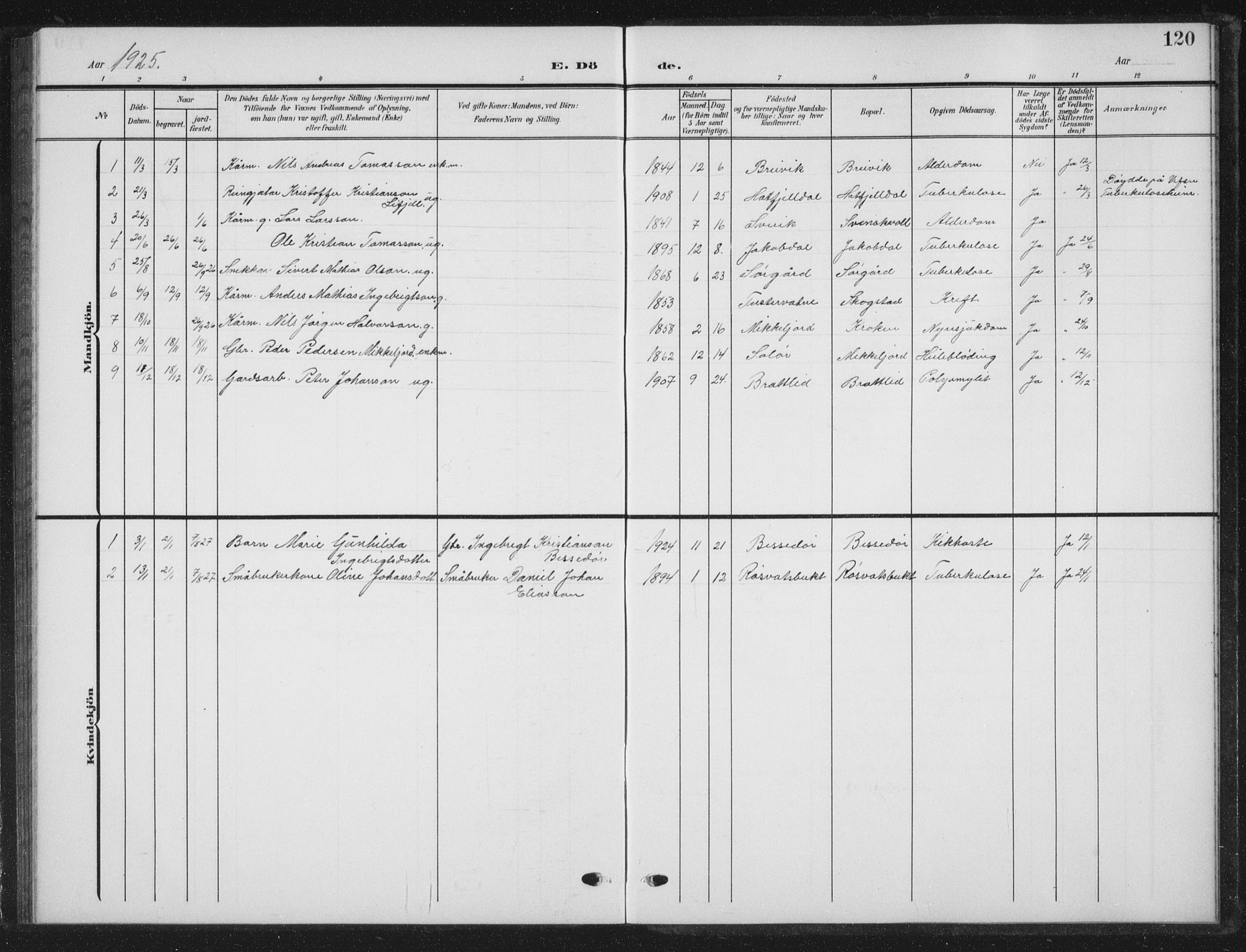 Ministerialprotokoller, klokkerbøker og fødselsregistre - Nordland, AV/SAT-A-1459/823/L0331: Parish register (copy) no. 823C03, 1905-1934, p. 120