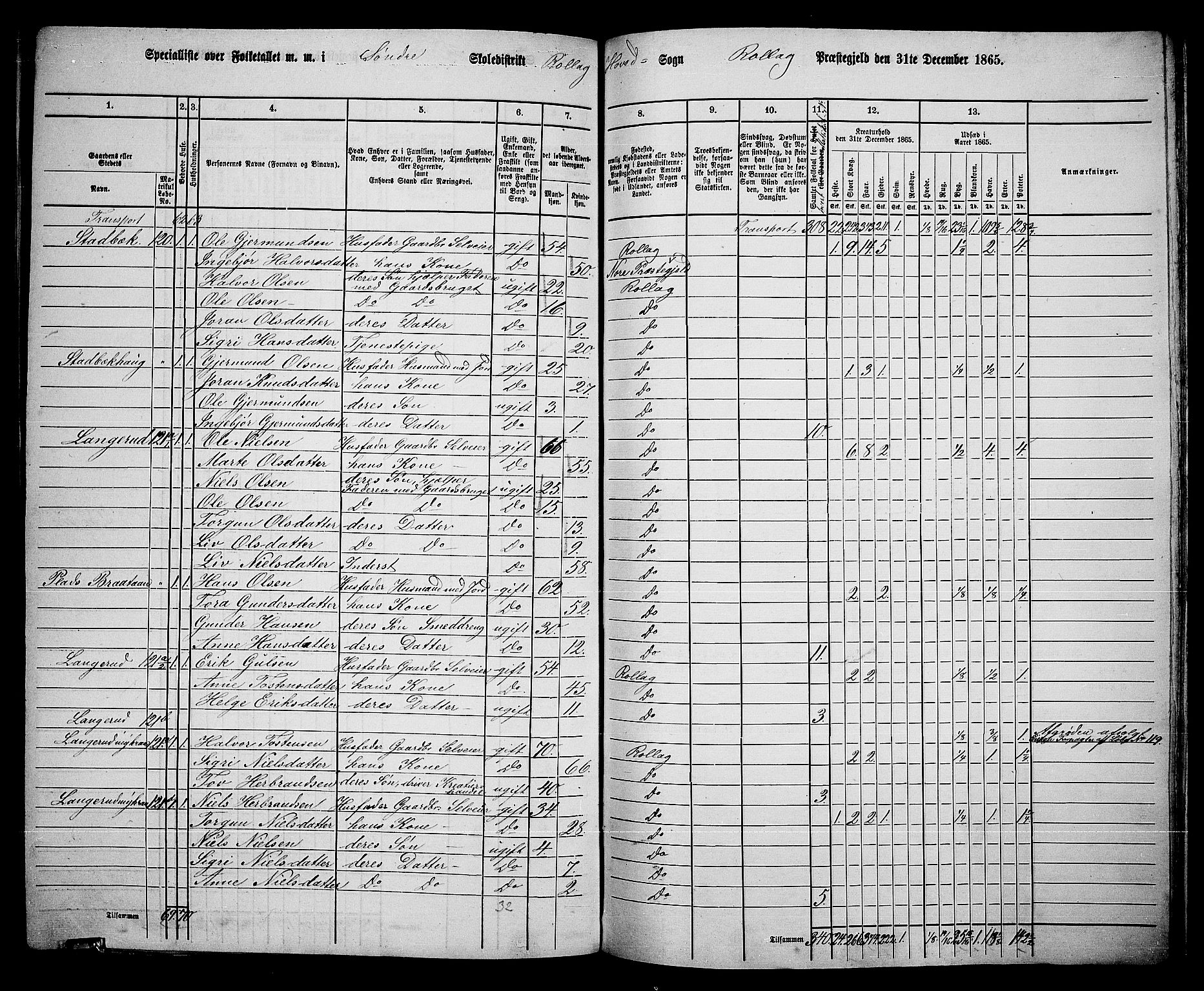 RA, 1865 census for Rollag, 1865, p. 17