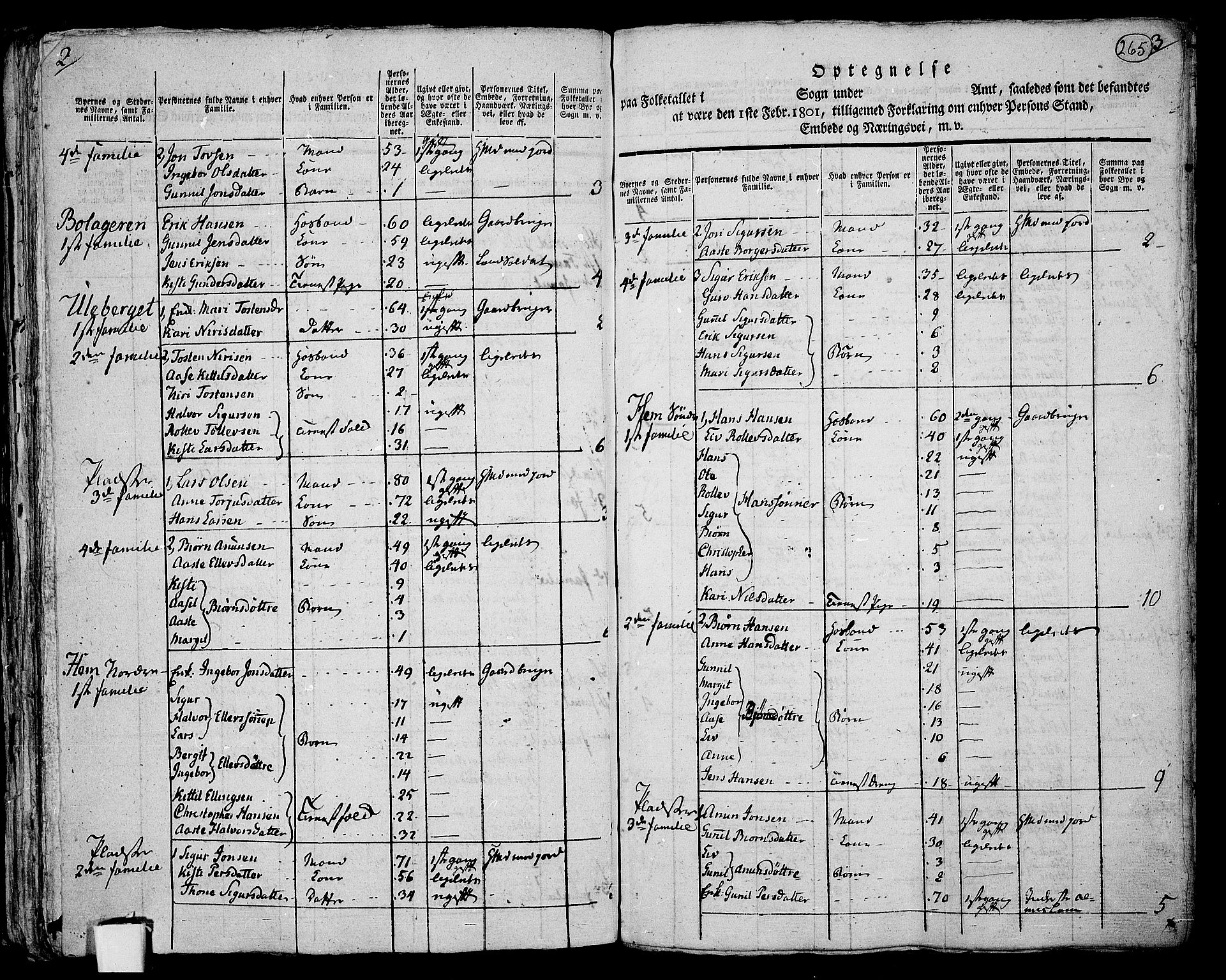RA, 1801 census for 0822P Sauherad, 1801, p. 264b-265a