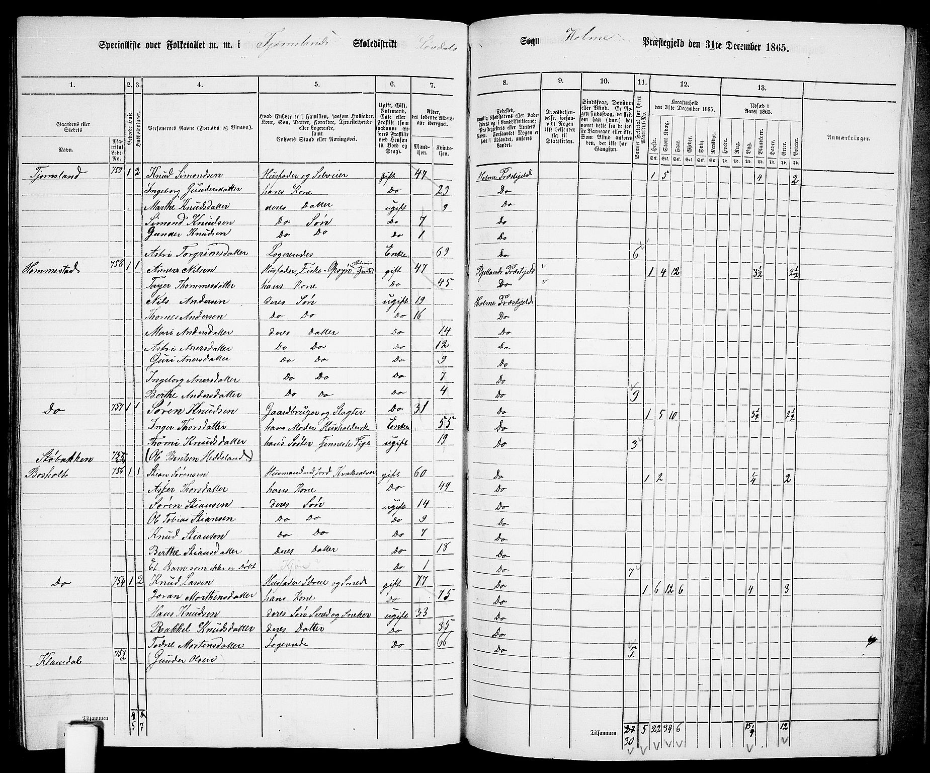 RA, 1865 census for Holum, 1865, p. 154