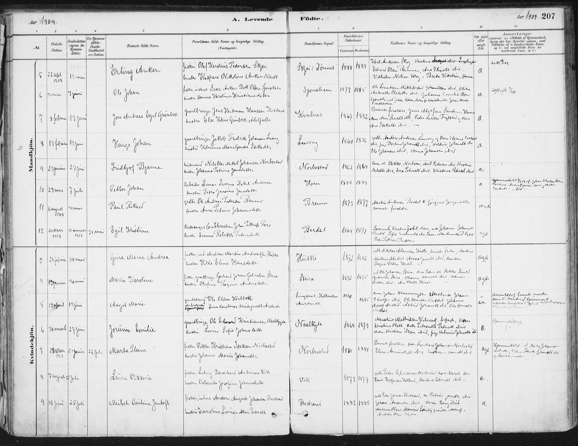 Ministerialprotokoller, klokkerbøker og fødselsregistre - Nordland, AV/SAT-A-1459/838/L0552: Parish register (official) no. 838A10, 1880-1910, p. 207