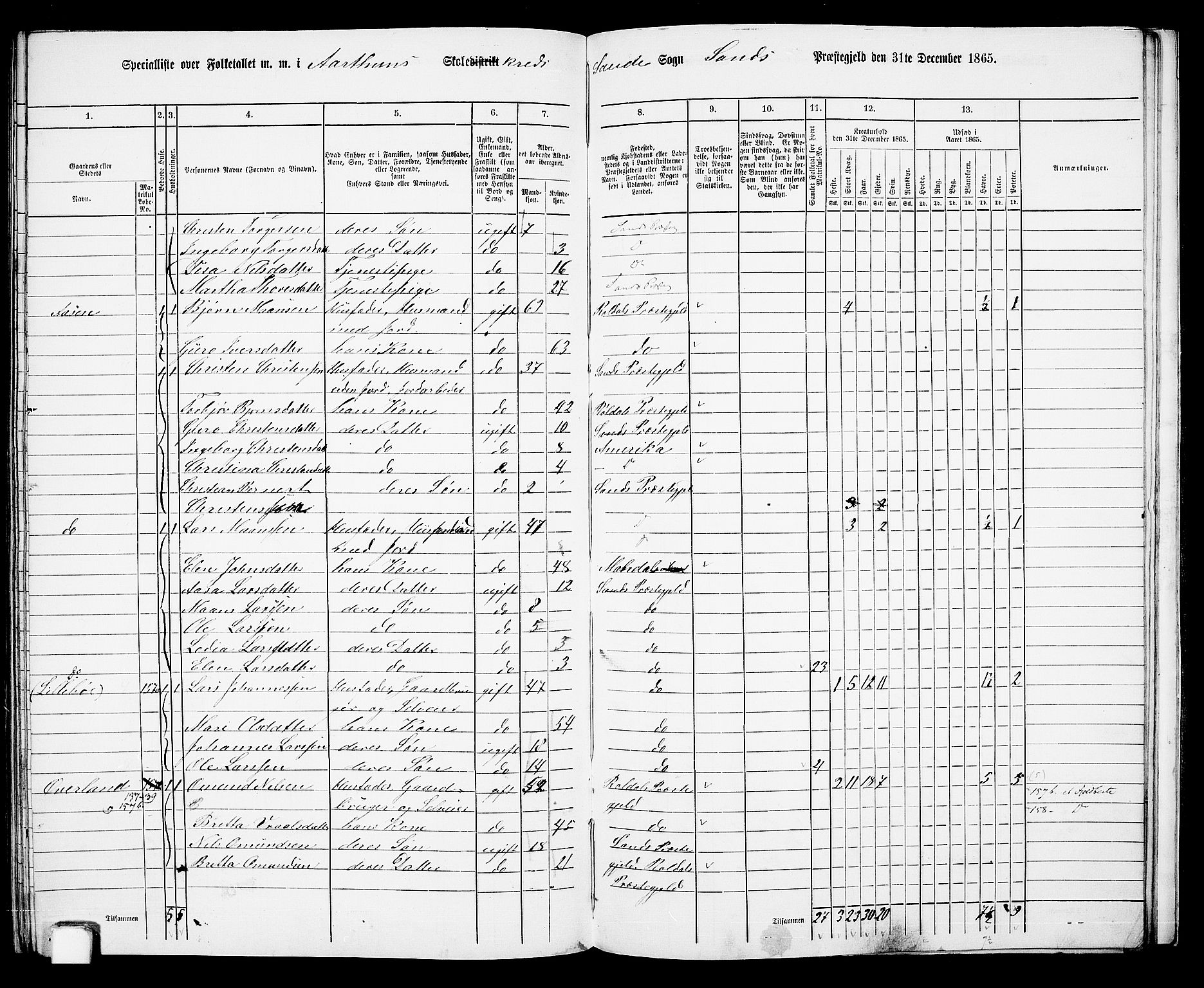 RA, 1865 census for Sand, 1865, p. 145