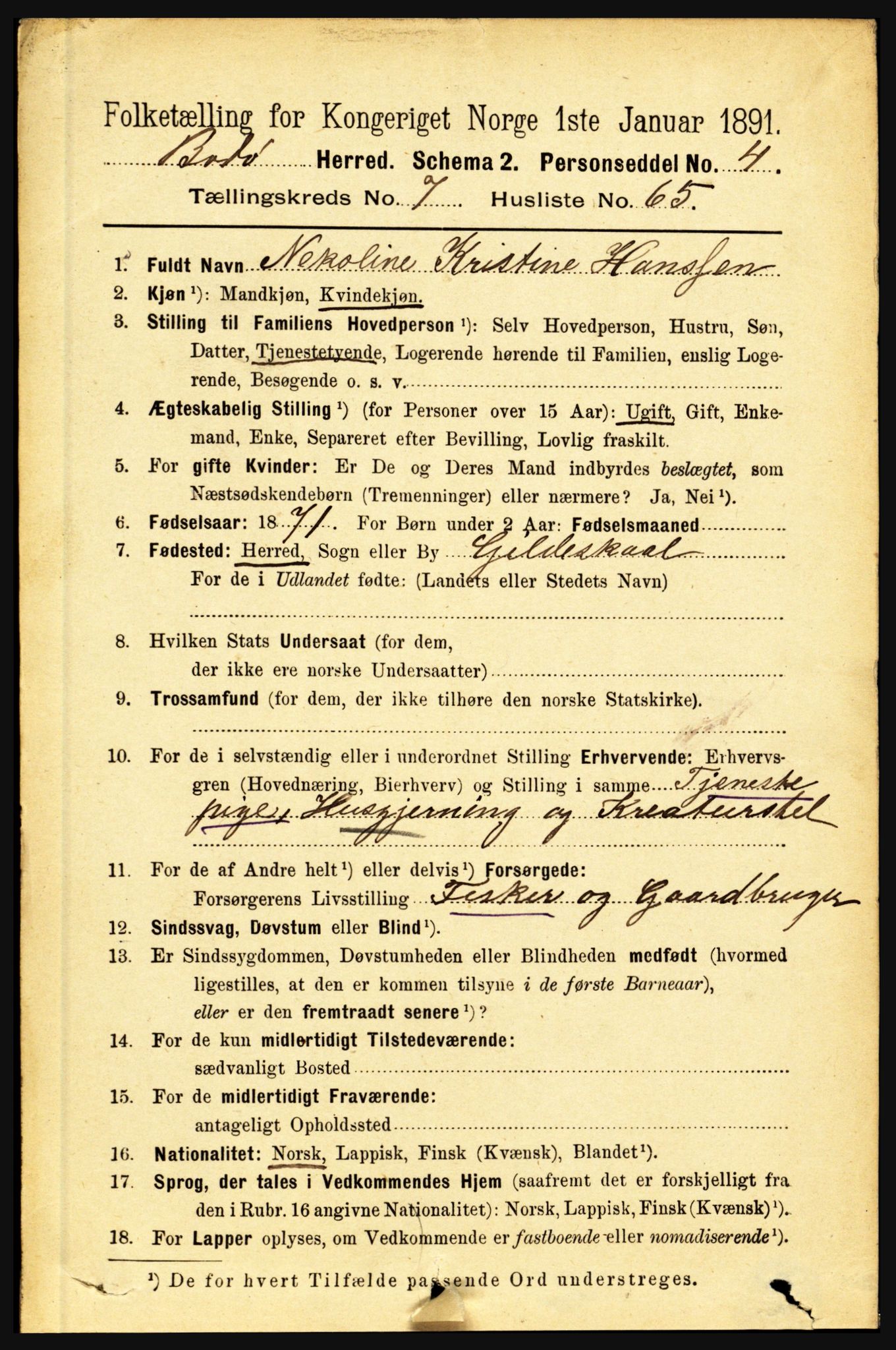 RA, 1891 census for 1843 Bodø, 1891, p. 5091