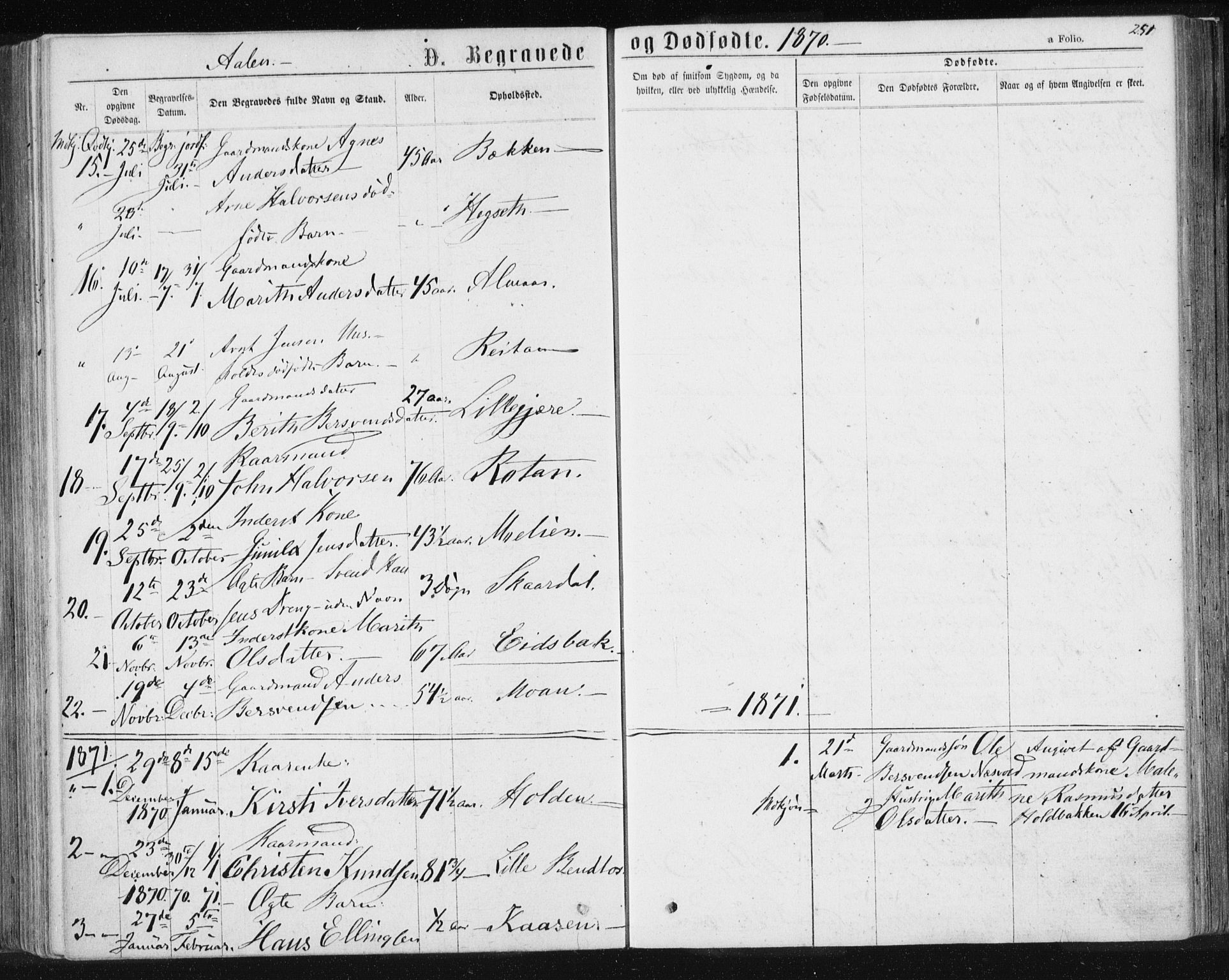Ministerialprotokoller, klokkerbøker og fødselsregistre - Sør-Trøndelag, SAT/A-1456/685/L0971: Parish register (official) no. 685A08 /3, 1870-1879, p. 251