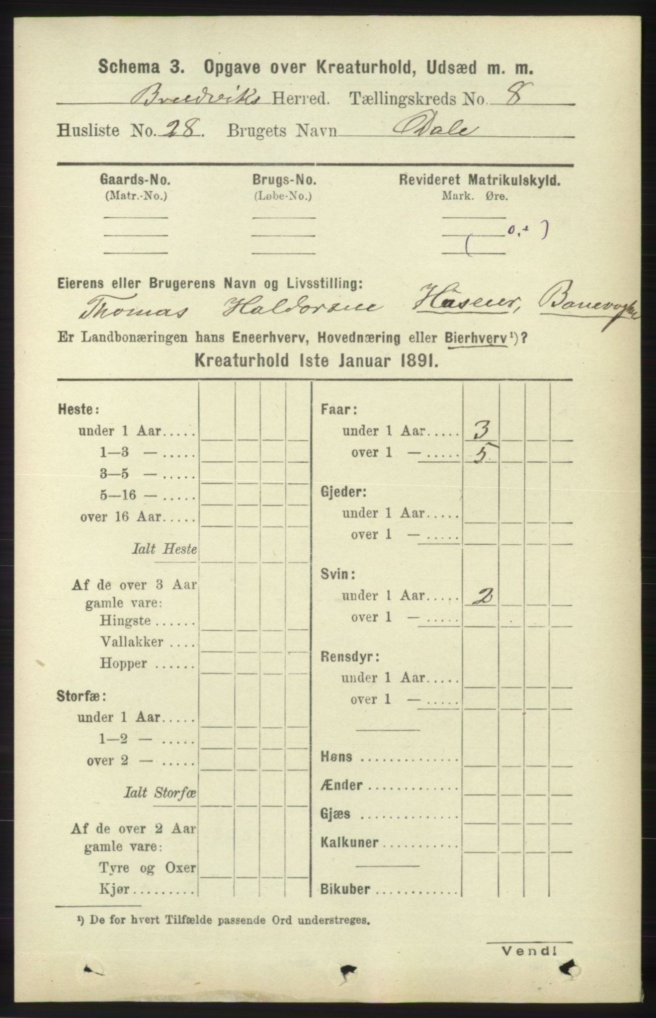 RA, 1891 census for 1251 Bruvik, 1891, p. 4798
