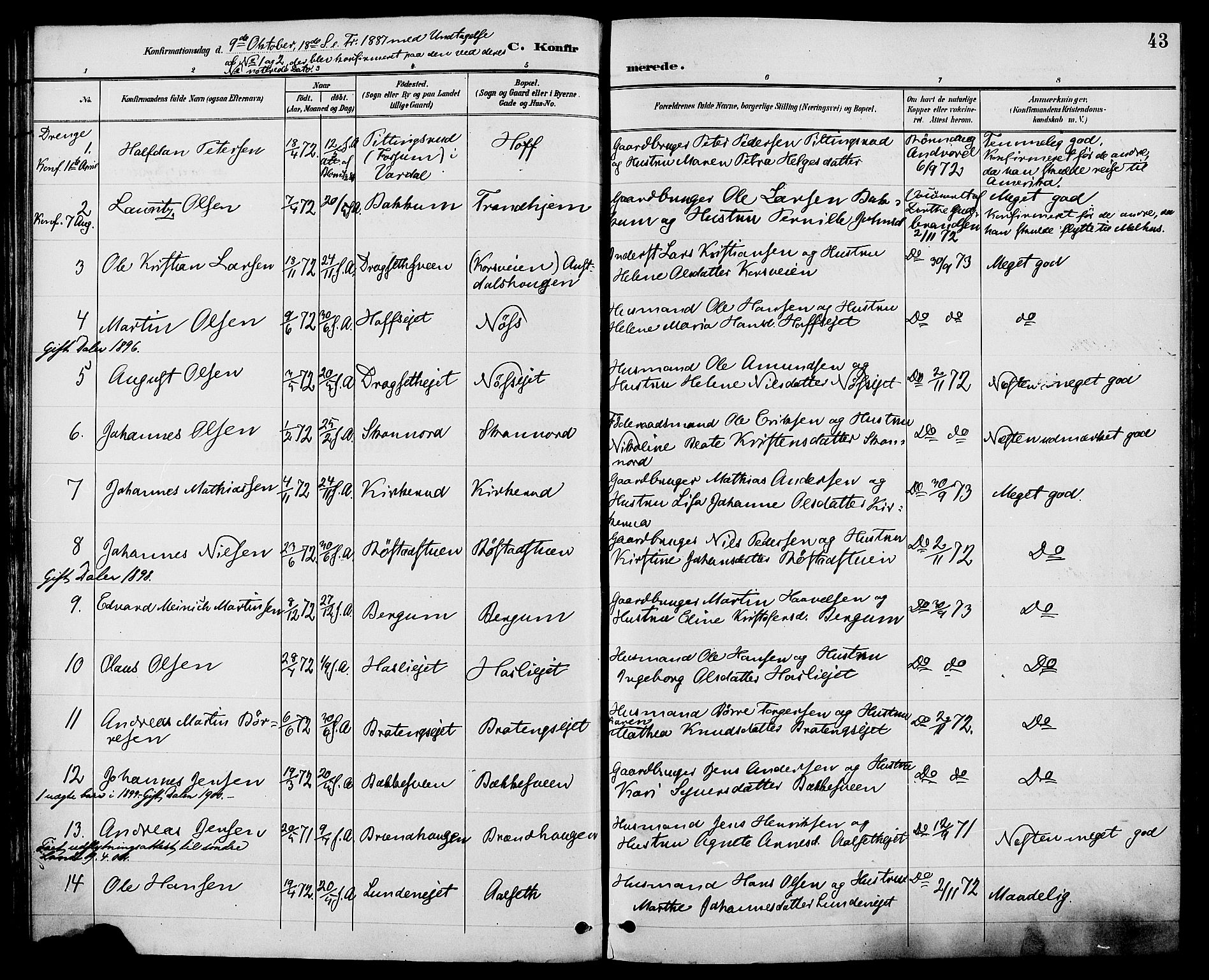 Biri prestekontor, SAH/PREST-096/H/Ha/Haa/L0007: Parish register (official) no. 7, 1887-1893, p. 43