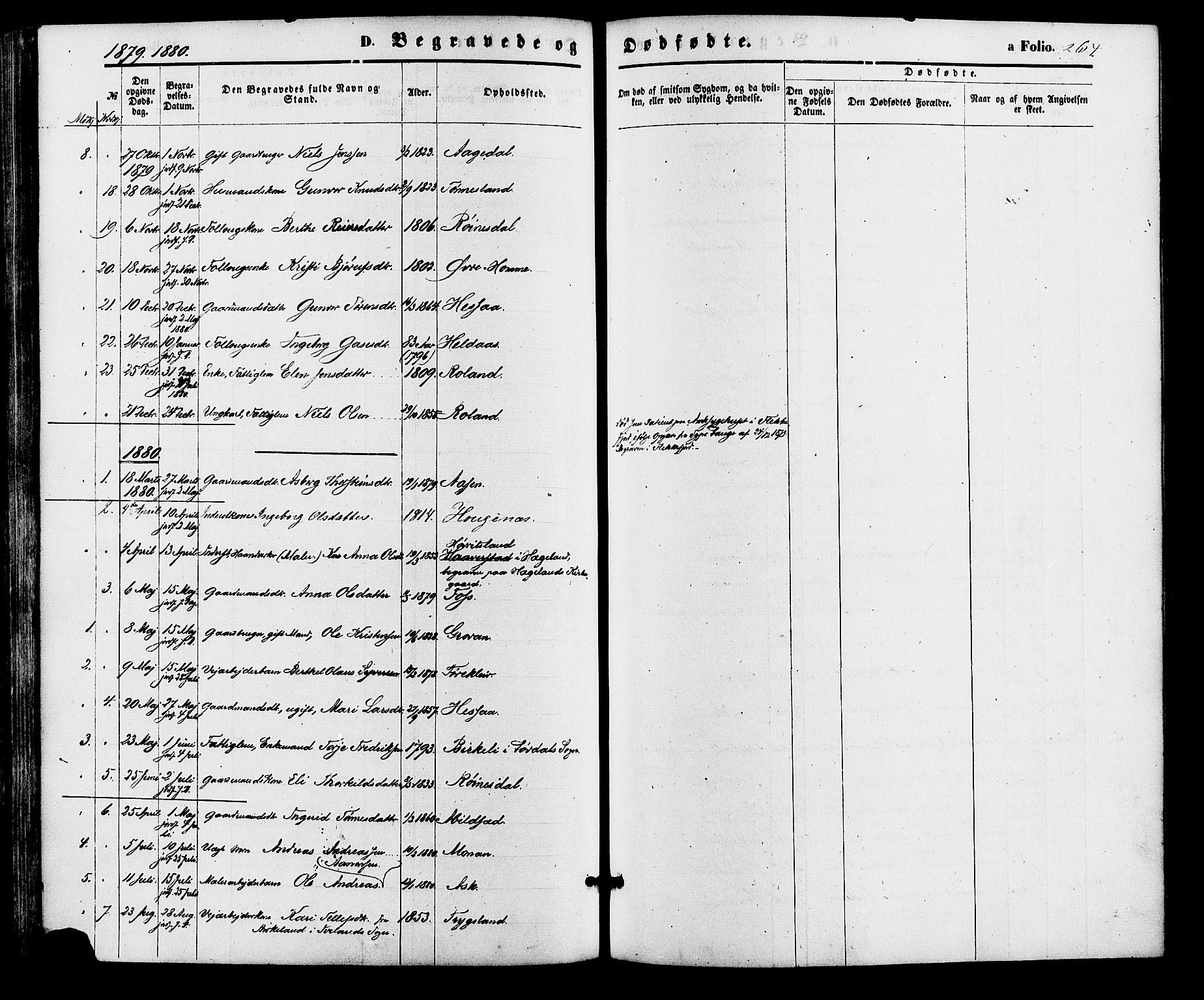 Bjelland sokneprestkontor, SAK/1111-0005/F/Fa/Faa/L0003: Parish register (official) no. A 3, 1867-1887, p. 264