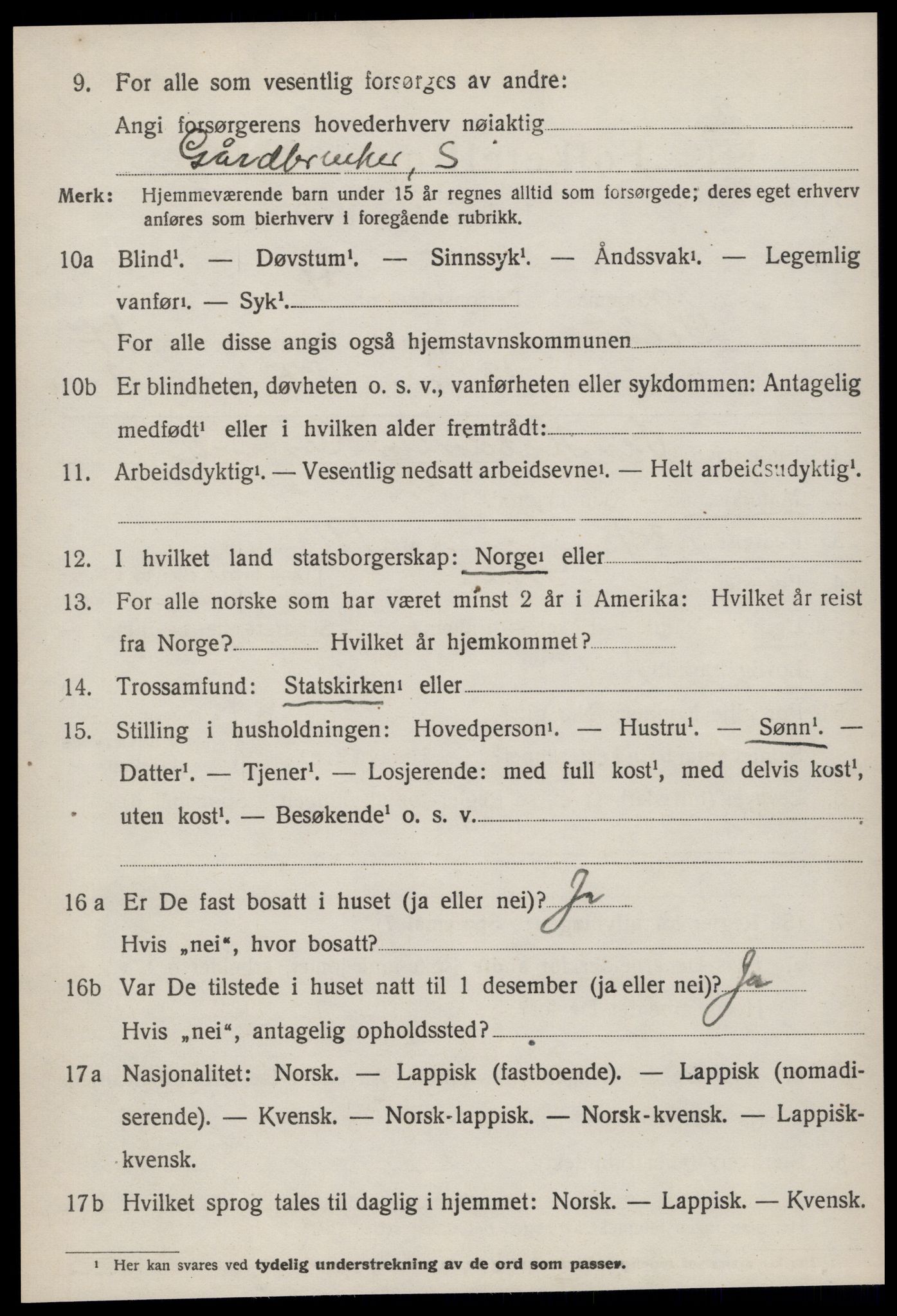 SAT, 1920 census for Selbu, 1920, p. 9047