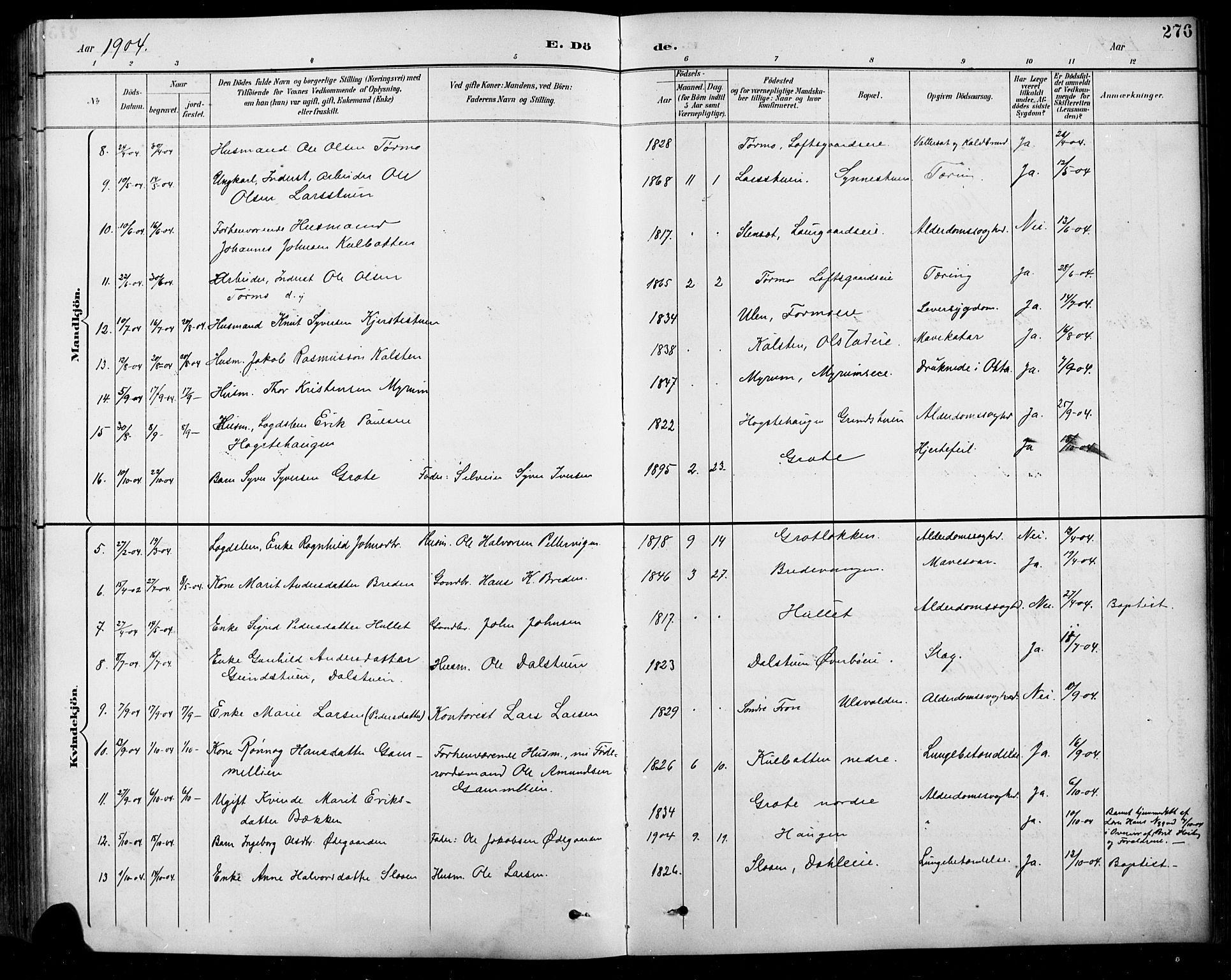 Sel prestekontor, SAH/PREST-074/H/Ha/Hab/L0001: Parish register (copy) no. 1, 1894-1923, p. 276