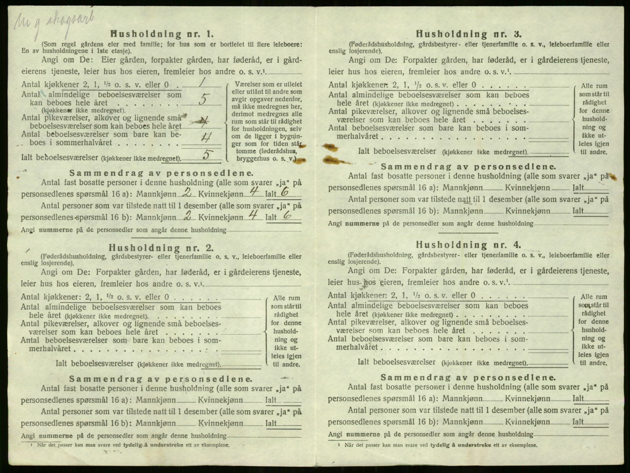 SAO, 1920 census for Nes, 1920, p. 3387