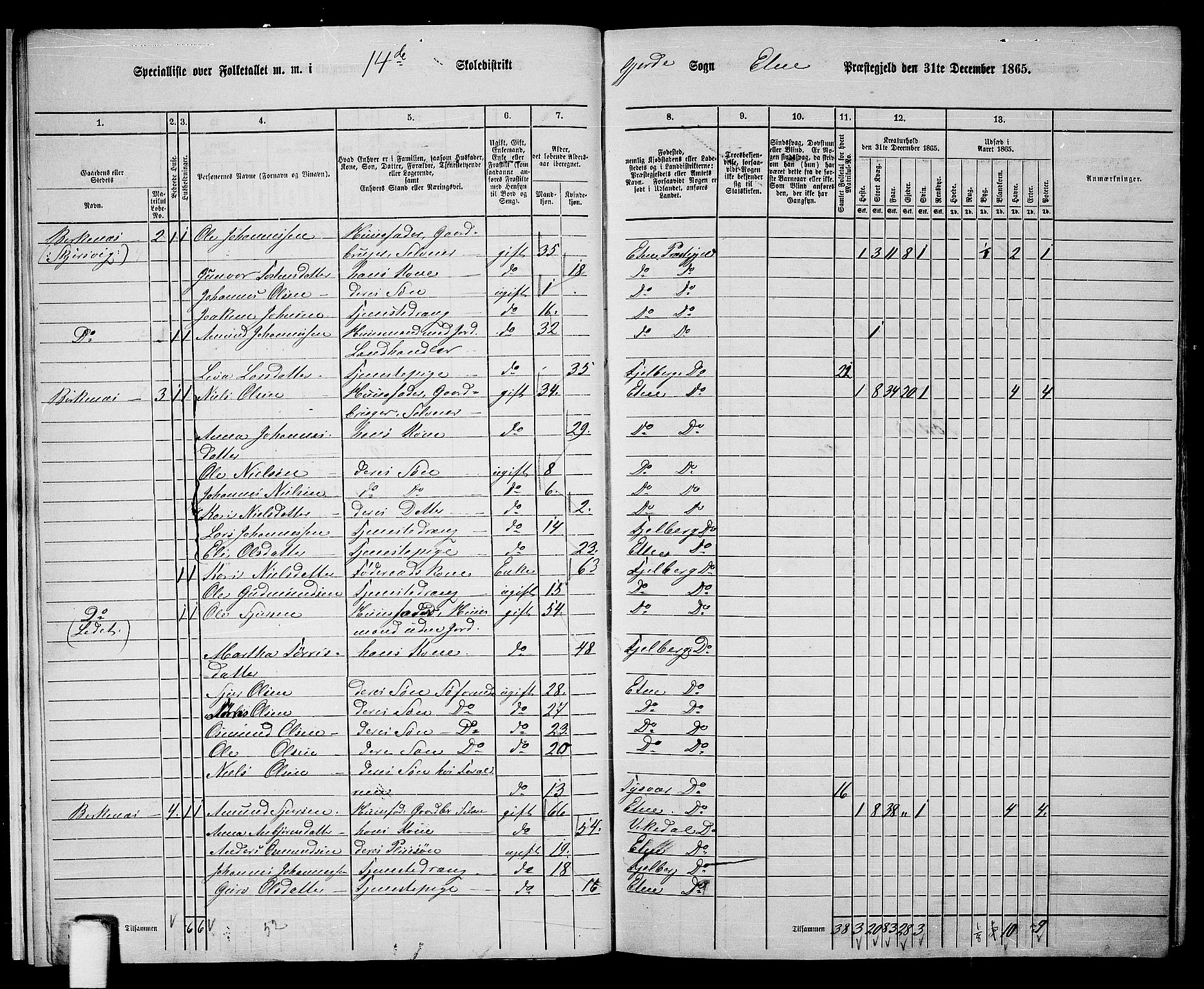 RA, 1865 census for Etne, 1865, p. 13