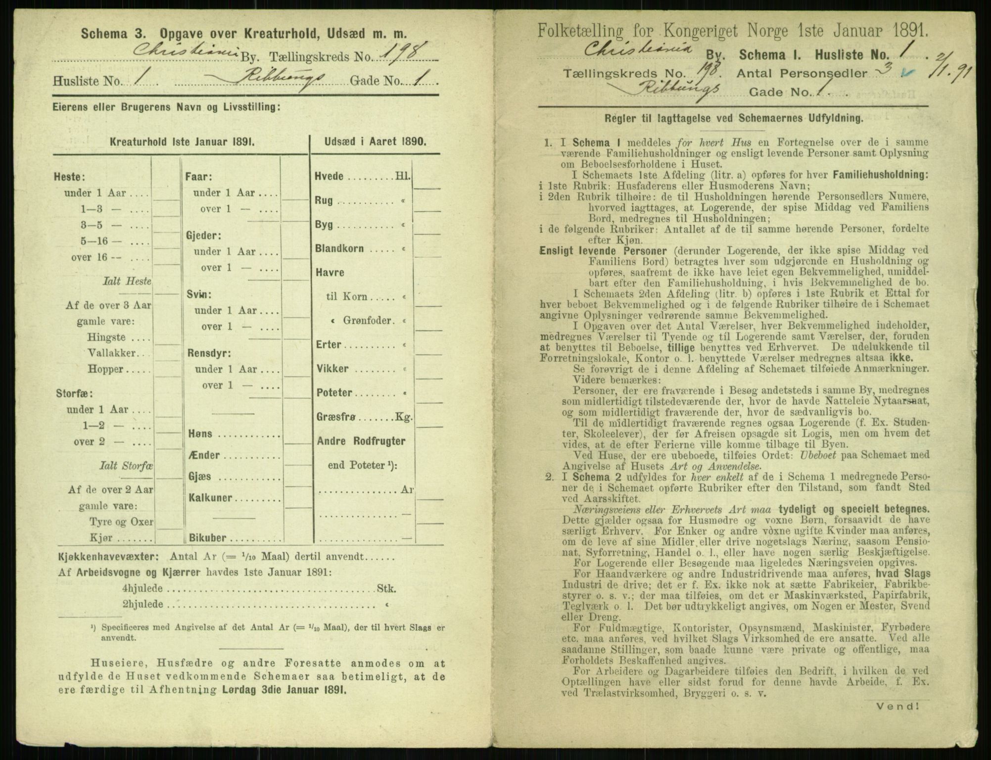 RA, 1891 census for 0301 Kristiania, 1891, p. 119226