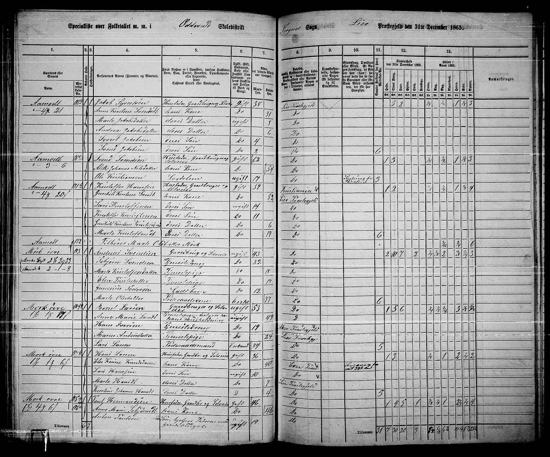 RA, 1865 census for Lier, 1865, p. 107