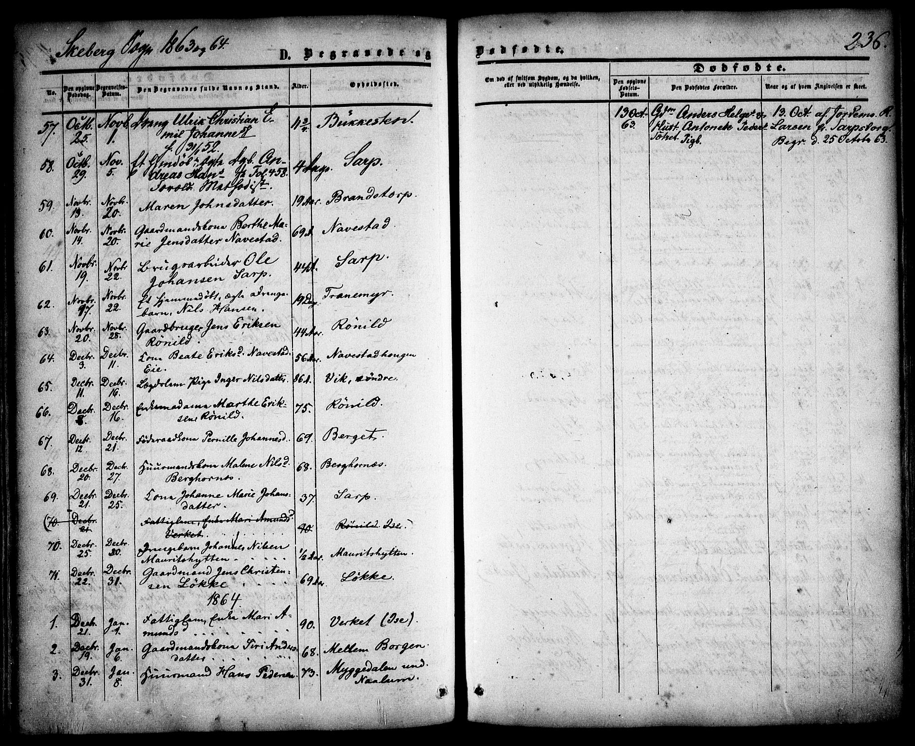 Skjeberg prestekontor Kirkebøker, SAO/A-10923/F/Fa/L0007: Parish register (official) no. I 7, 1859-1868, p. 236
