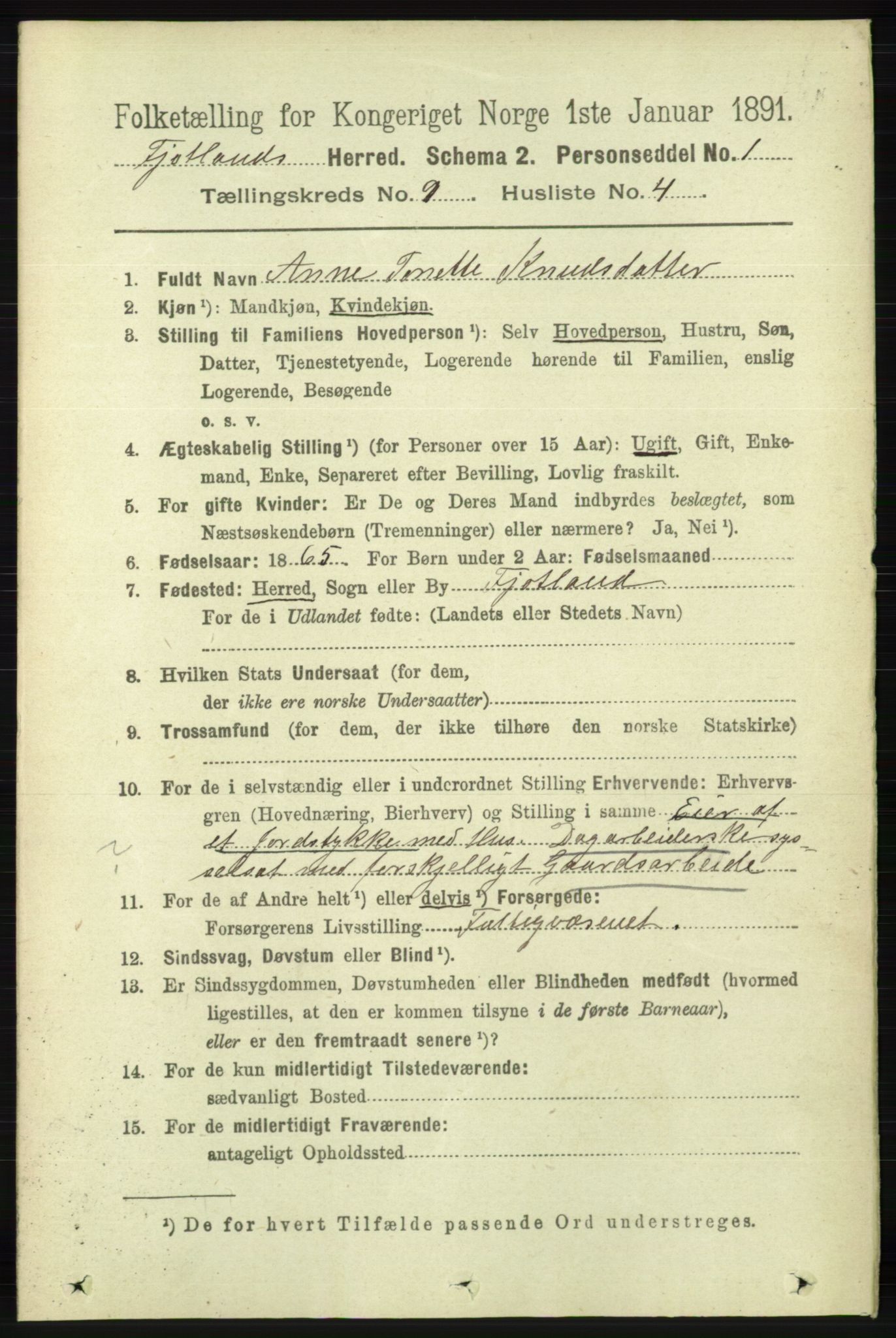 RA, 1891 census for 1036 Fjotland, 1891, p. 1316