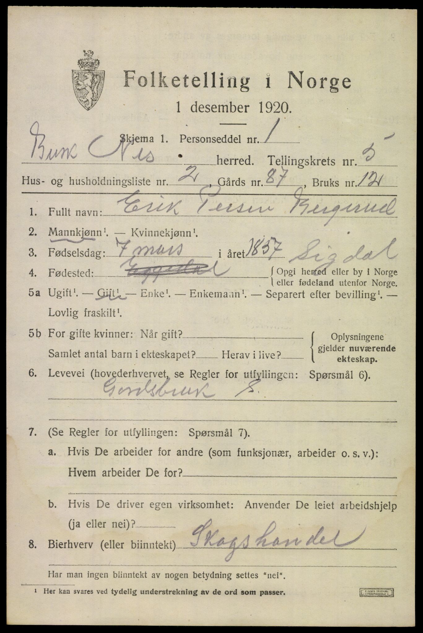 SAKO, 1920 census for Nes (Buskerud), 1920, p. 2500