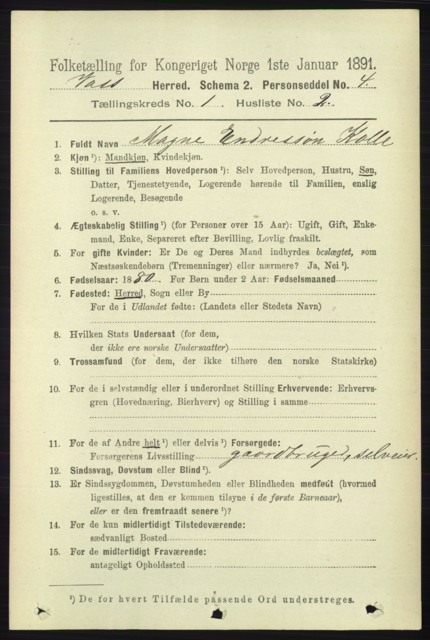 RA, 1891 census for 1235 Voss, 1891, p. 115