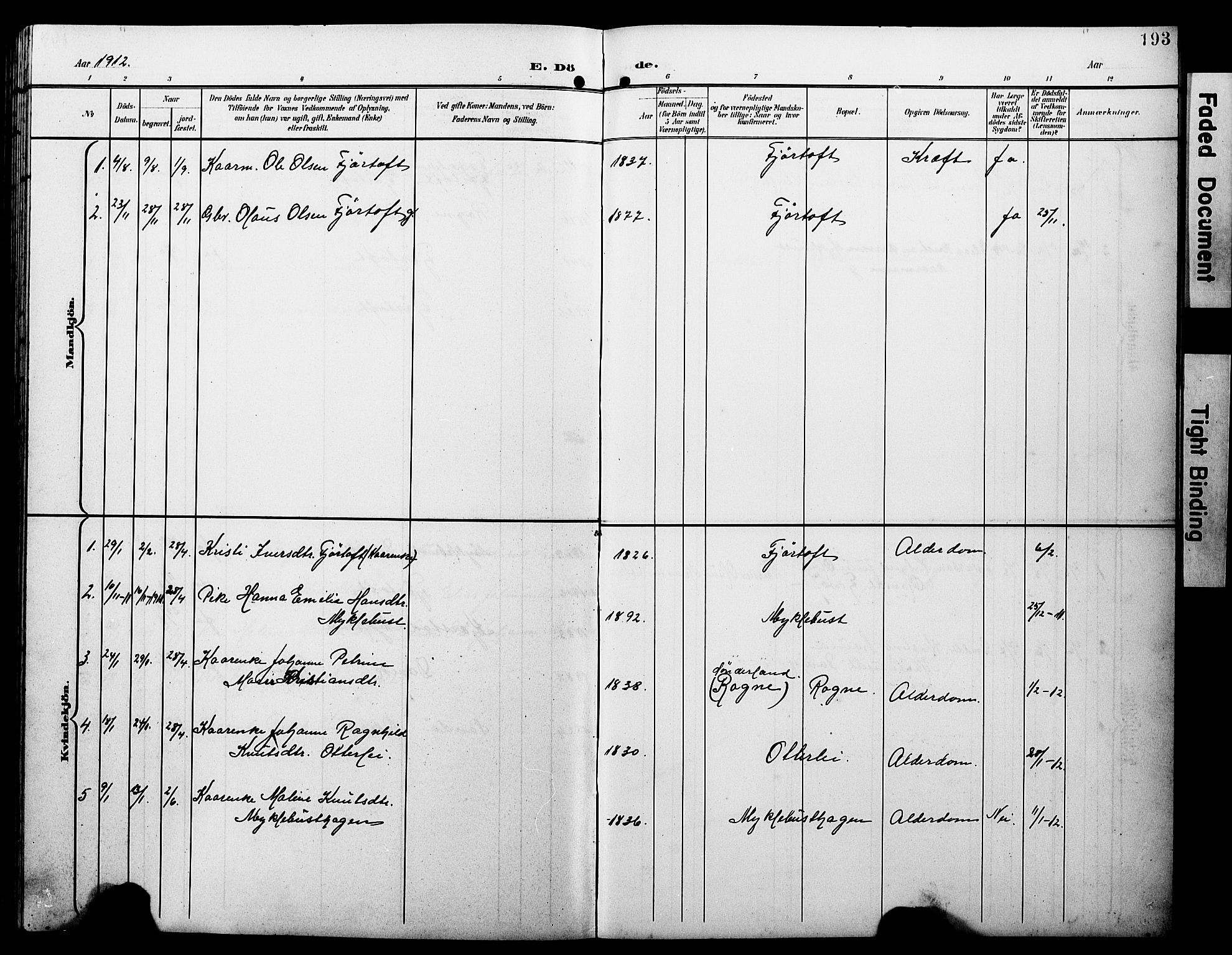 Ministerialprotokoller, klokkerbøker og fødselsregistre - Møre og Romsdal, AV/SAT-A-1454/538/L0524: Parish register (copy) no. 538C02, 1901-1931, p. 193