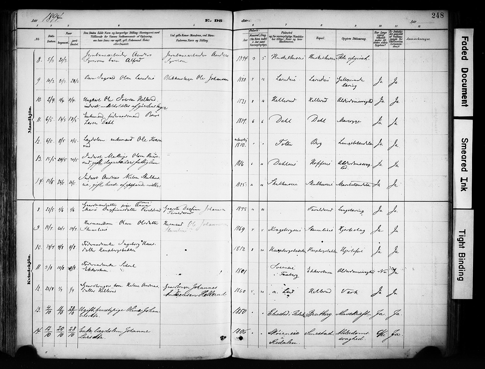 Biri prestekontor, AV/SAH-PREST-096/H/Ha/Haa/L0009: Parish register (official) no. 9, 1887-1900, p. 248