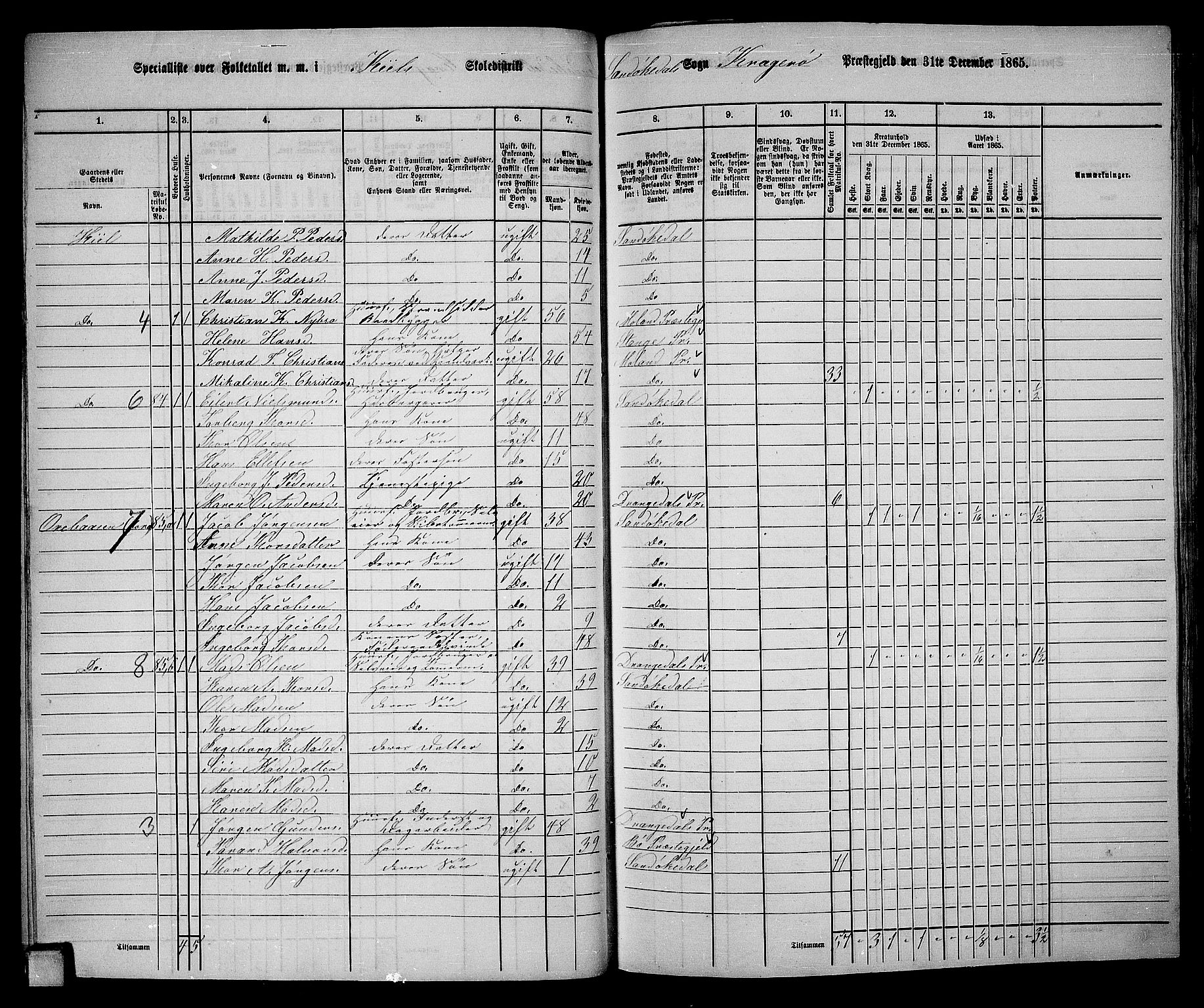 RA, 1865 census for Kragerø/Sannidal og Skåtøy, 1865, p. 48