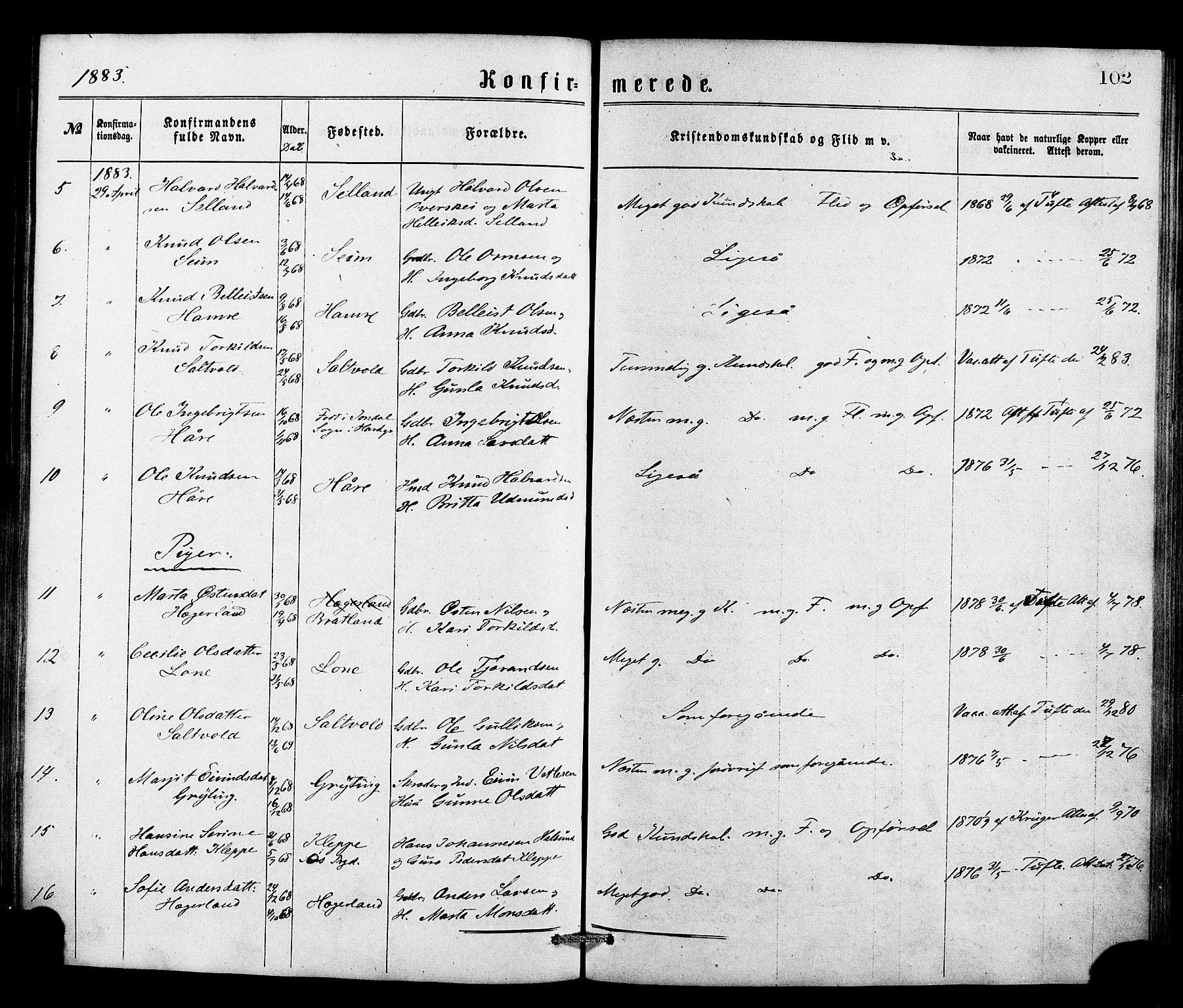 Røldal sokneprestembete, SAB/A-100247: Parish register (official) no. A 4, 1870-1886, p. 102