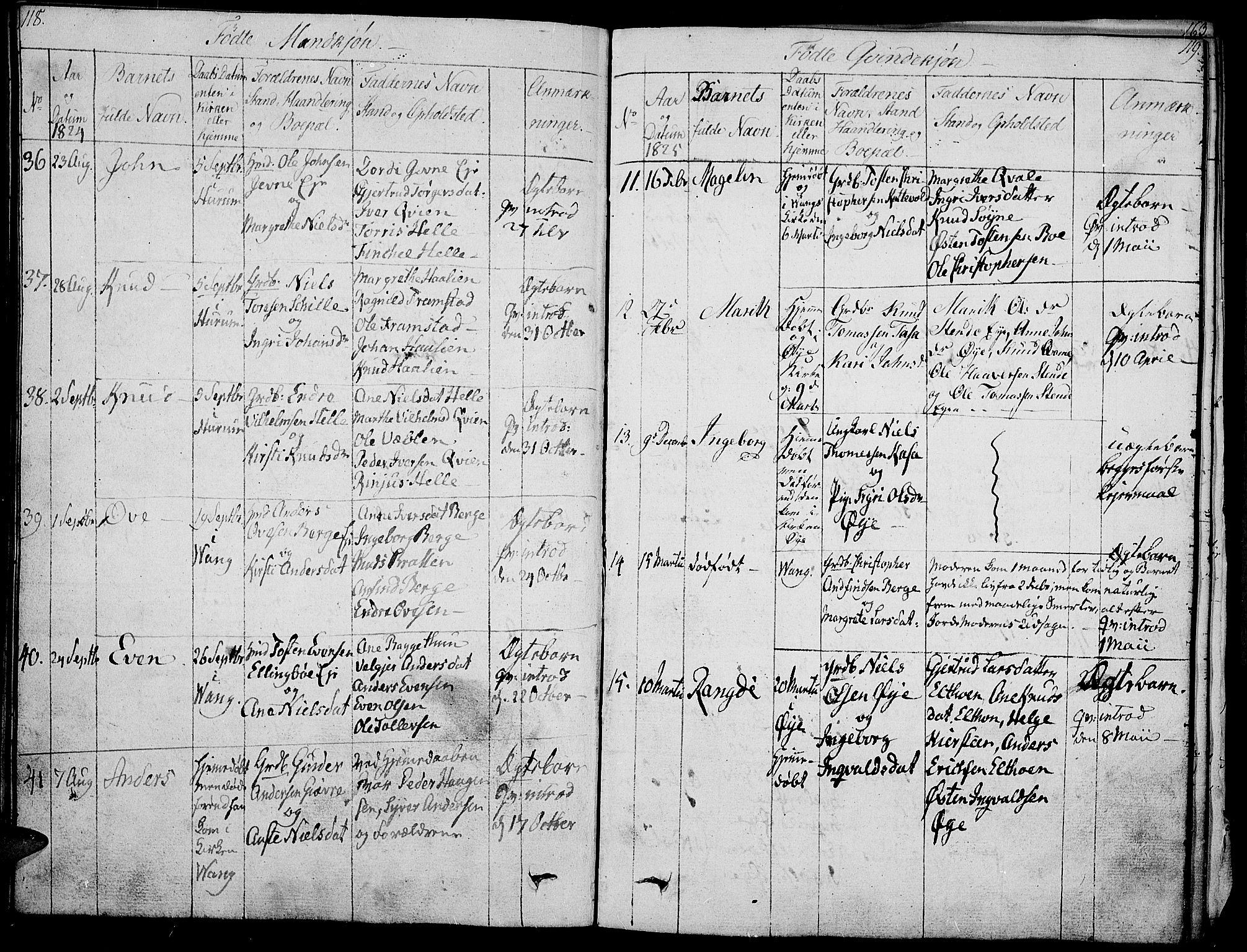 Vang prestekontor, Valdres, AV/SAH-PREST-140/H/Ha/L0003: Parish register (official) no. 3, 1809-1831, p. 118-119