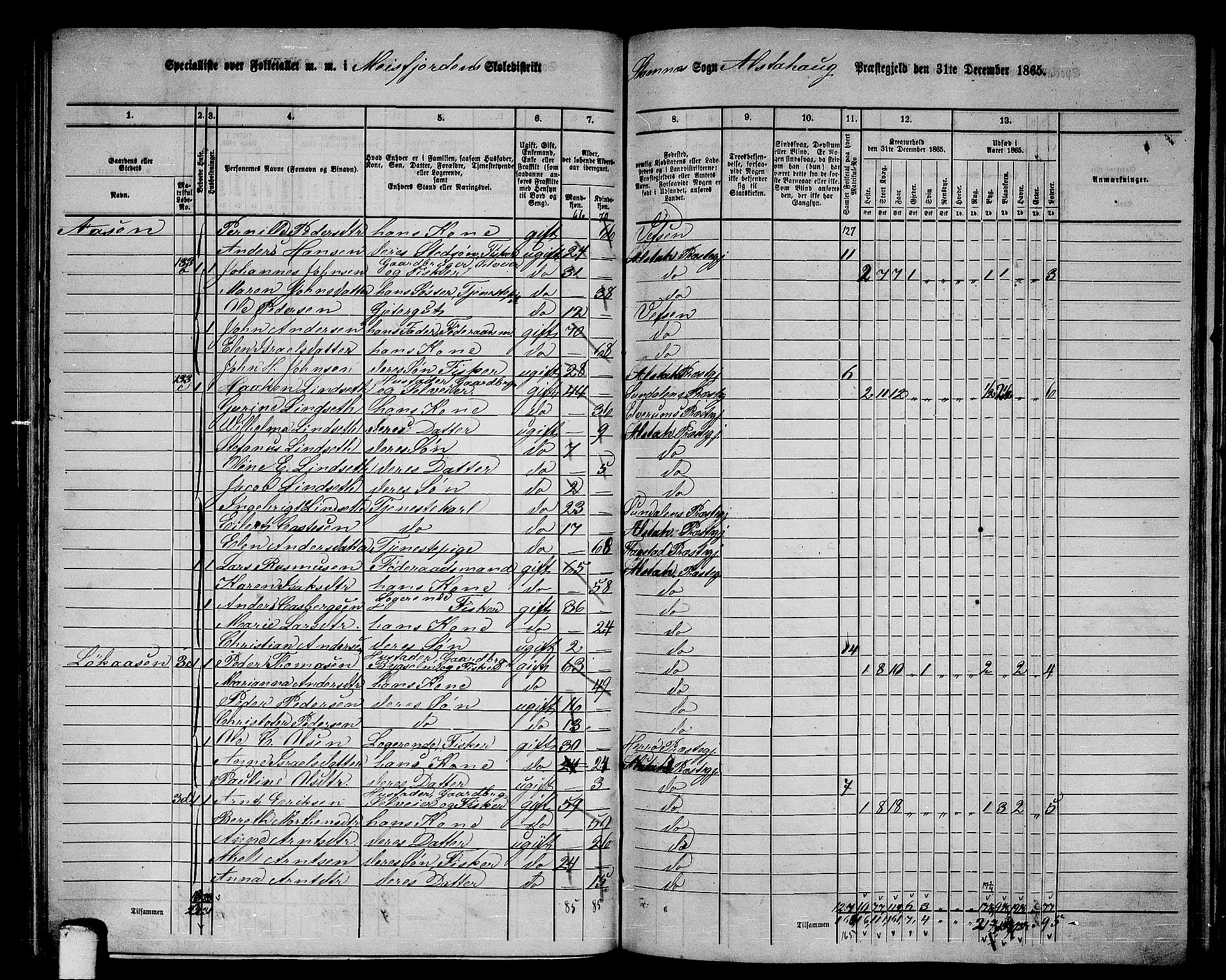 RA, 1865 census for Alstahaug, 1865, p. 107