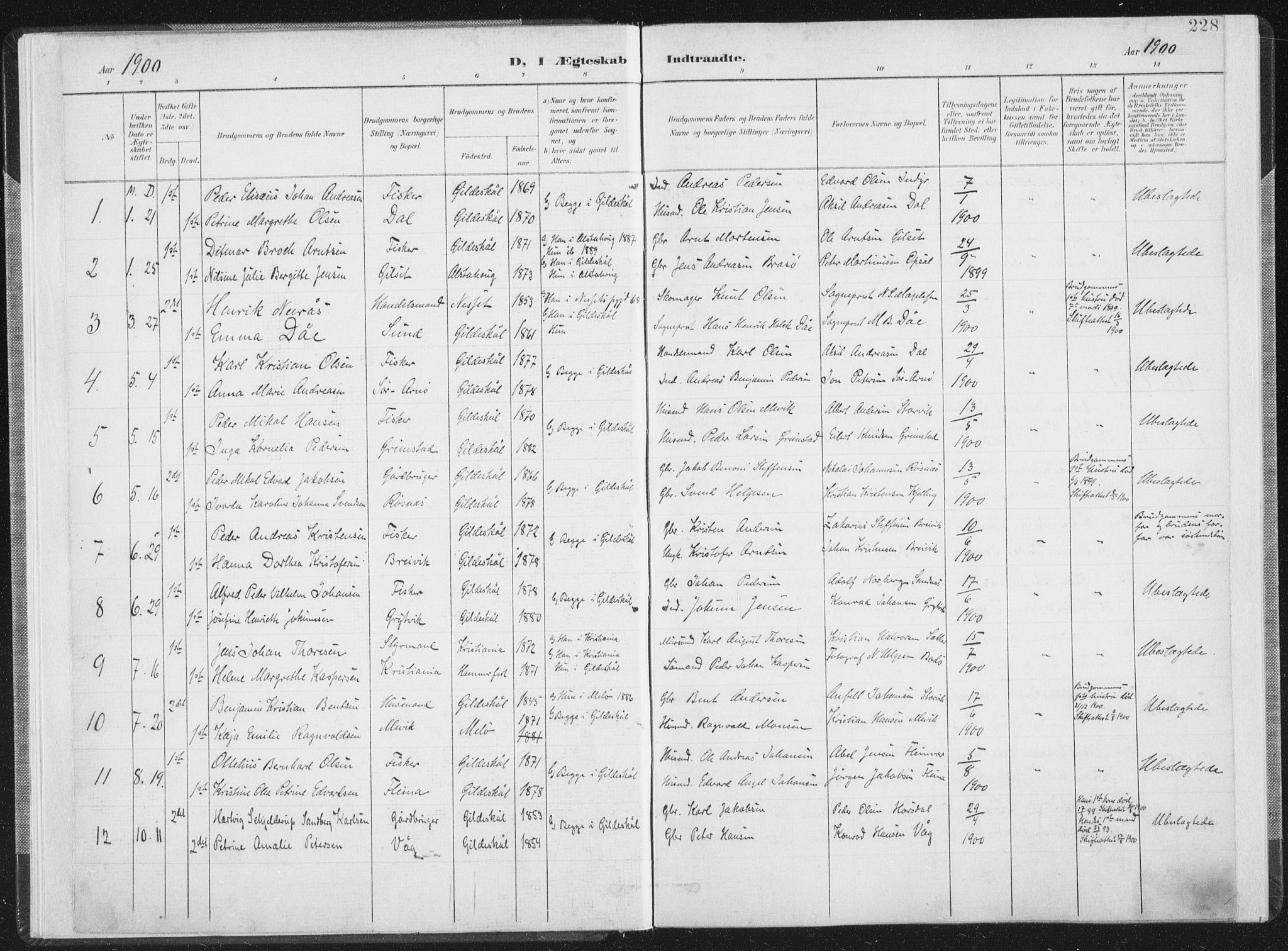 Ministerialprotokoller, klokkerbøker og fødselsregistre - Nordland, AV/SAT-A-1459/805/L0103: Parish register (official) no. 805A08II, 1900-1909, p. 228