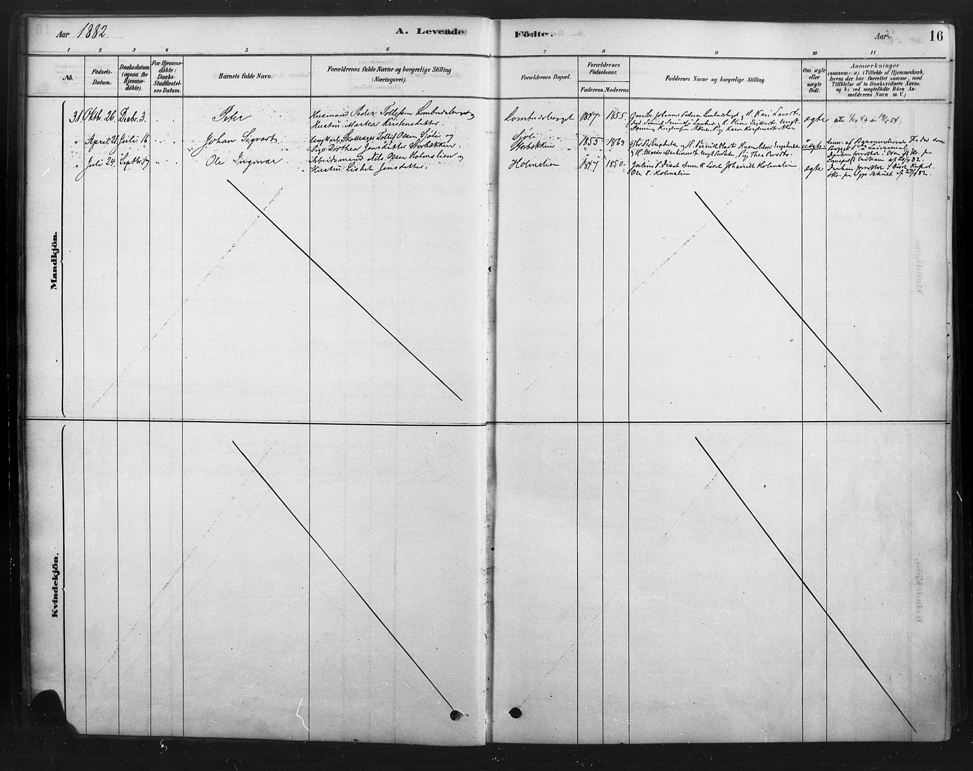 Rendalen prestekontor, AV/SAH-PREST-054/H/Ha/Haa/L0010: Parish register (official) no. 10, 1878-1901, p. 16