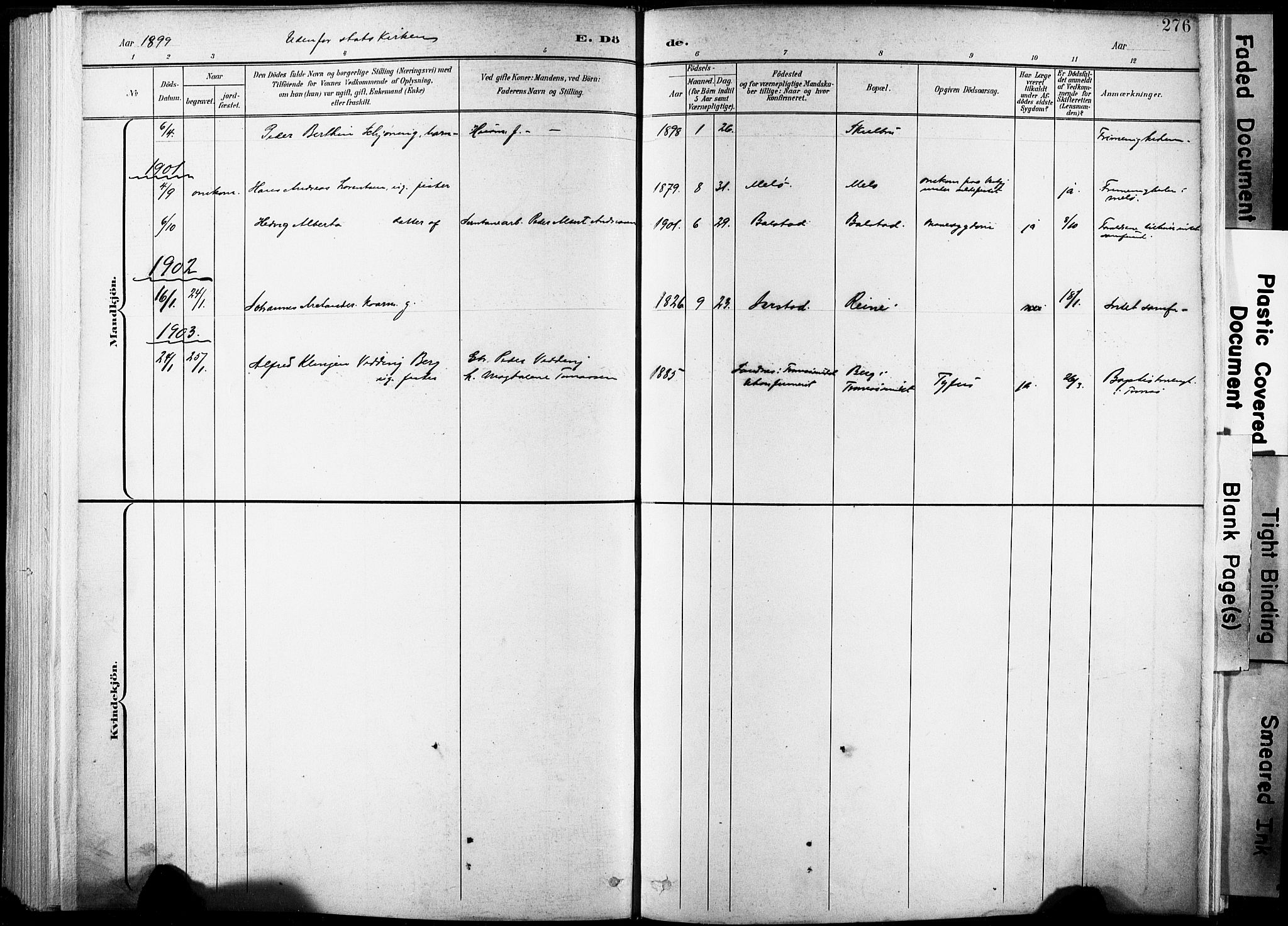 Ministerialprotokoller, klokkerbøker og fødselsregistre - Nordland, AV/SAT-A-1459/881/L1151: Parish register (official) no. 881A04, 1899-1907, p. 276