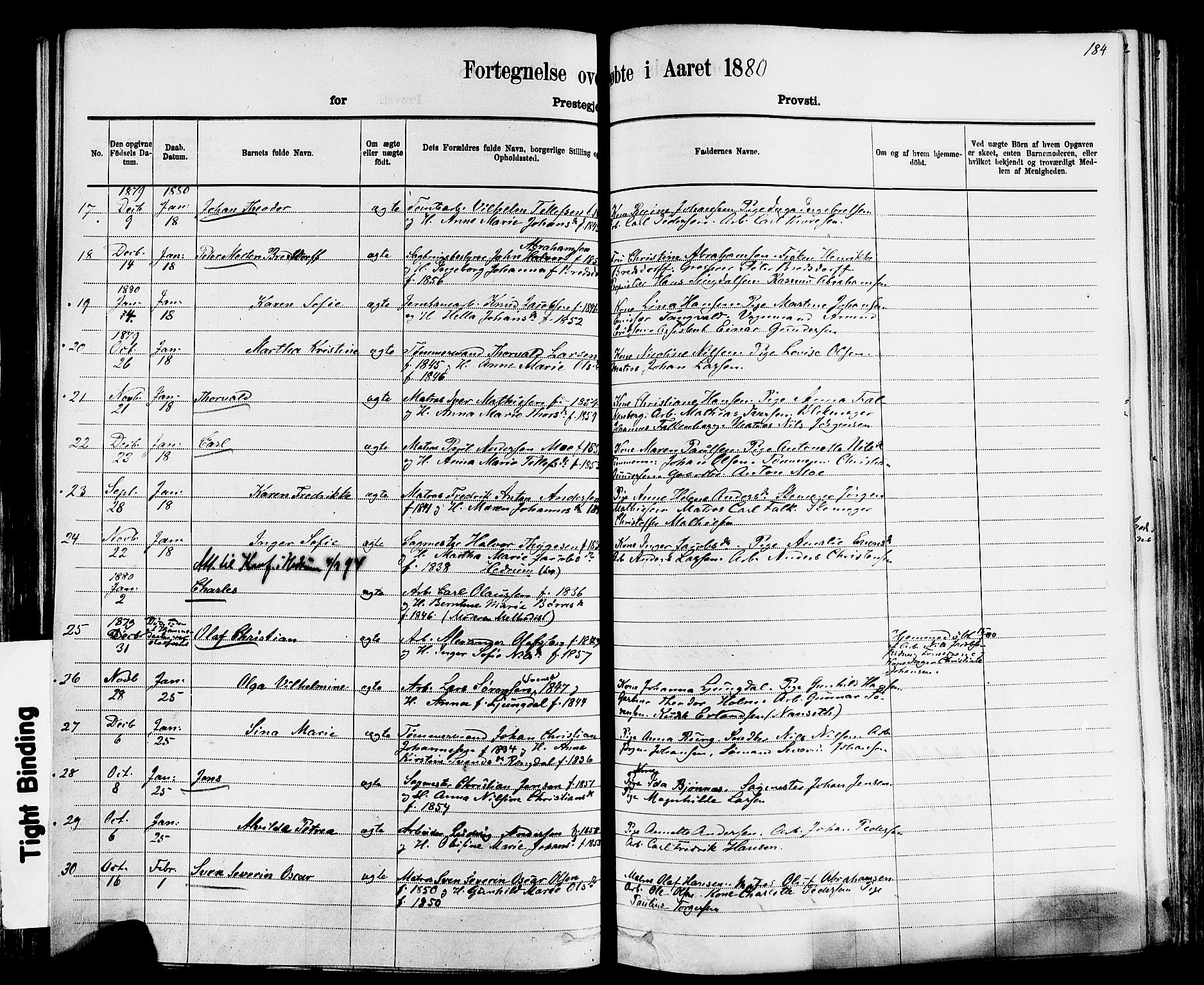 Larvik kirkebøker, AV/SAKO-A-352/F/Fa/L0006: Parish register (official) no. I 6, 1871-1883, p. 184