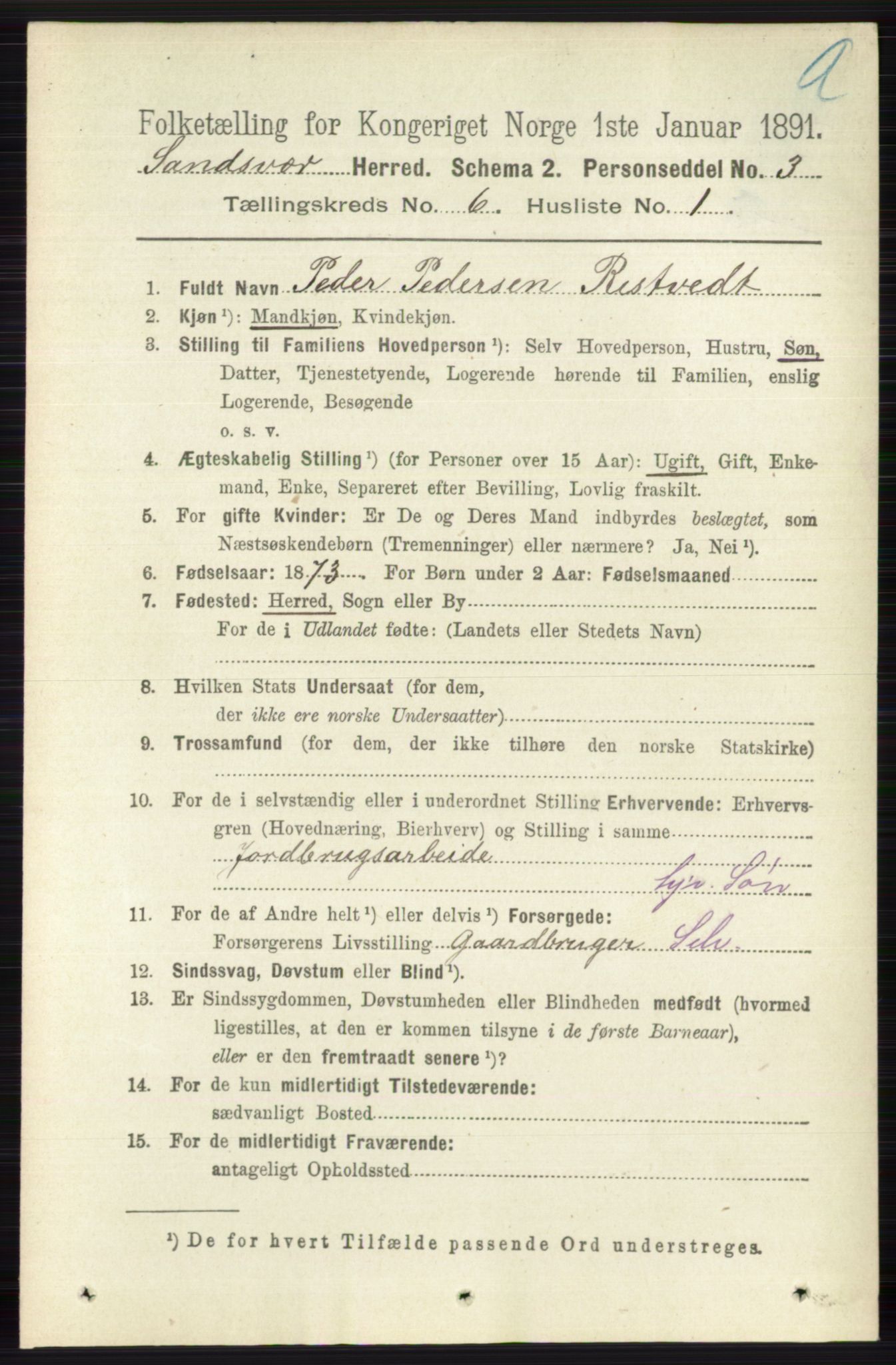 RA, 1891 census for 0629 Sandsvær, 1891, p. 3389