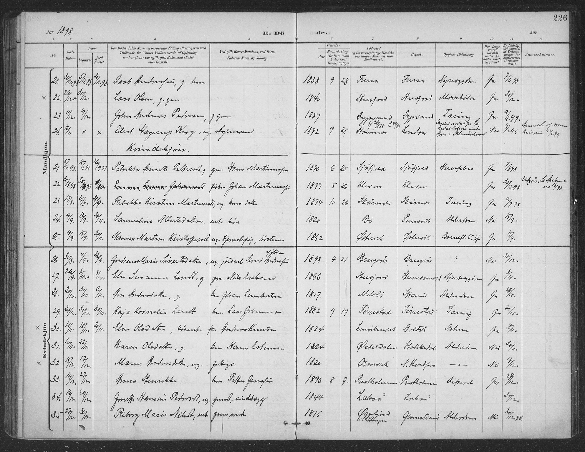 Ministerialprotokoller, klokkerbøker og fødselsregistre - Nordland, AV/SAT-A-1459/863/L0899: Parish register (official) no. 863A11, 1897-1906, p. 226