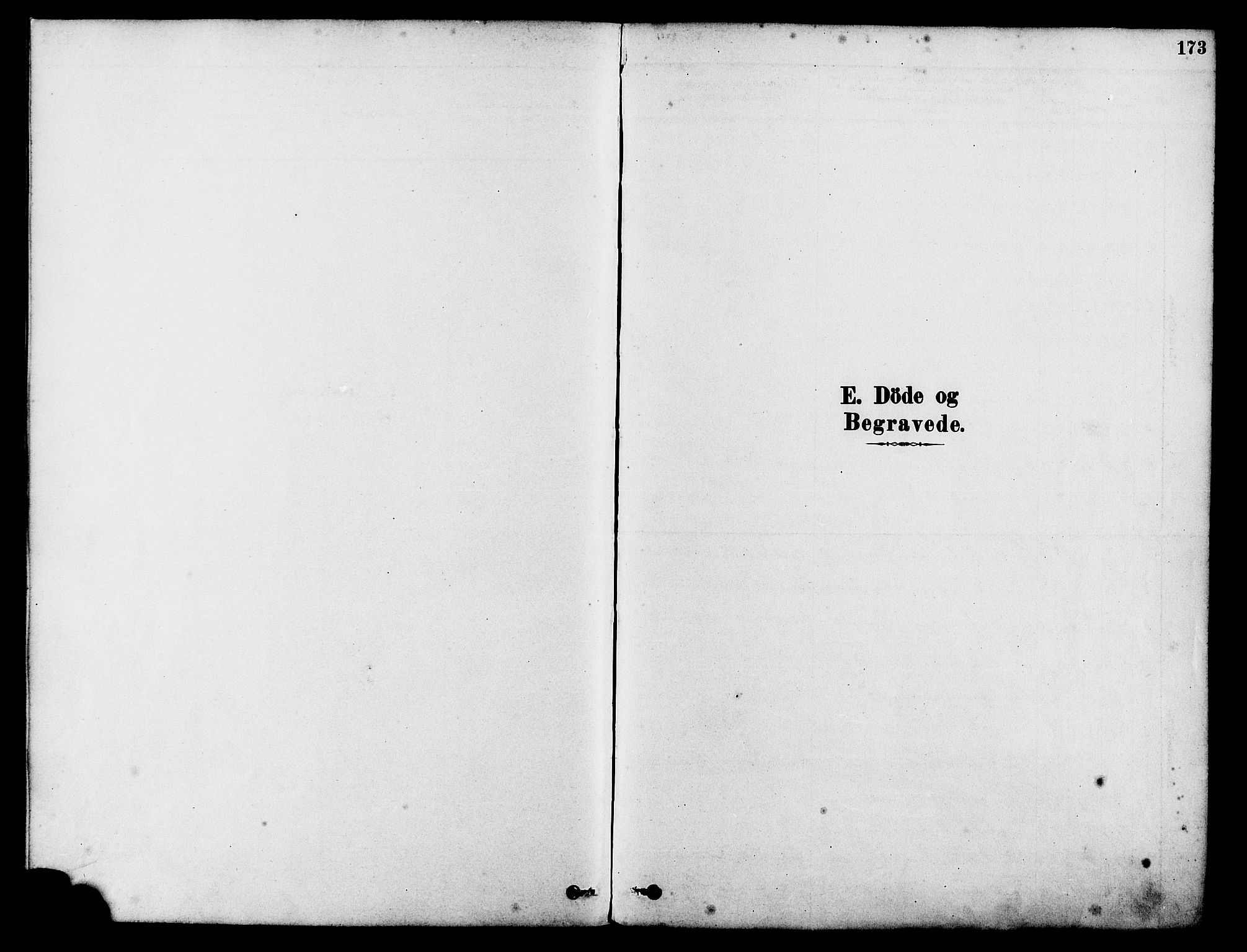 Tysvær sokneprestkontor, SAST/A -101864/H/Ha/Haa/L0006: Parish register (official) no. A 6, 1878-1896, p. 173