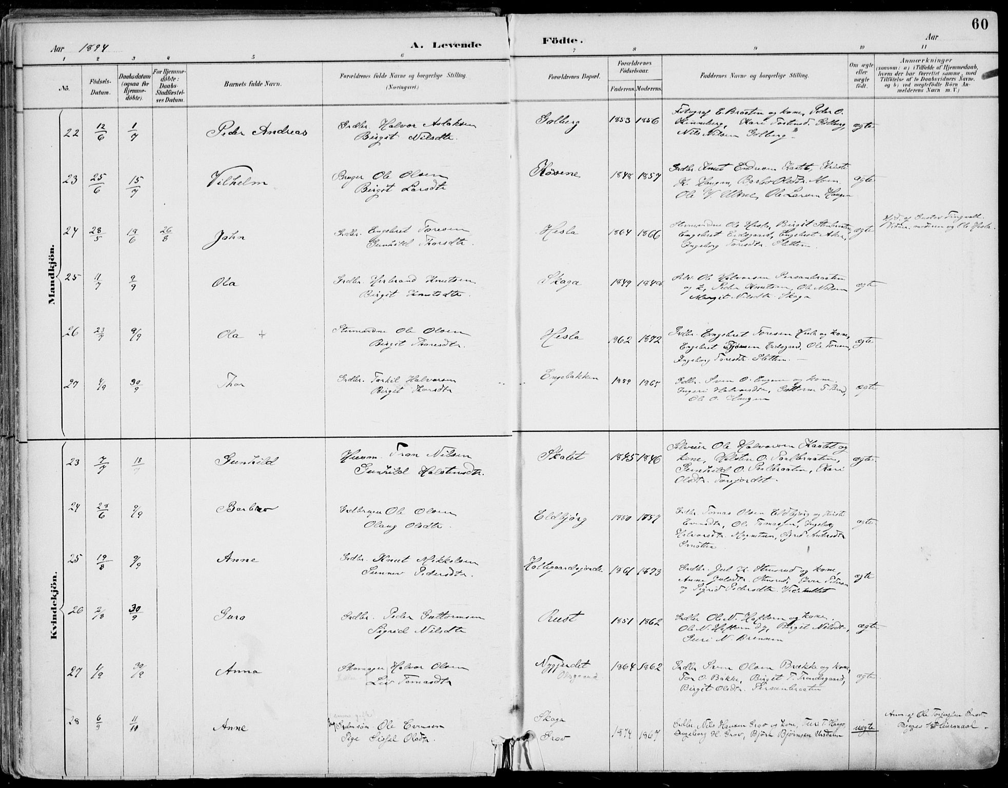 Gol kirkebøker, AV/SAKO-A-226/F/Fa/L0005: Parish register (official) no. I 5, 1887-1900, p. 60