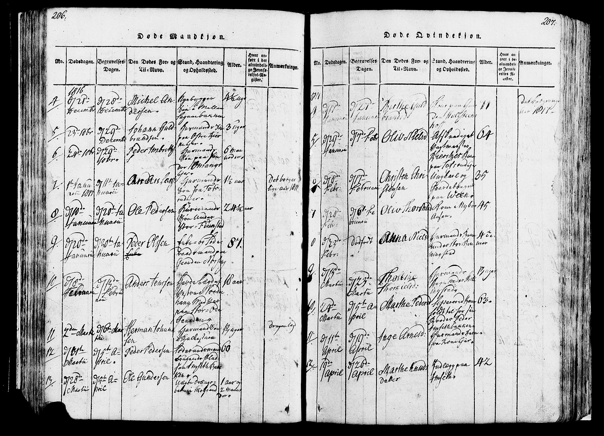 Løten prestekontor, AV/SAH-PREST-022/K/Ka/L0005: Parish register (official) no. 5, 1814-1832, p. 206-207