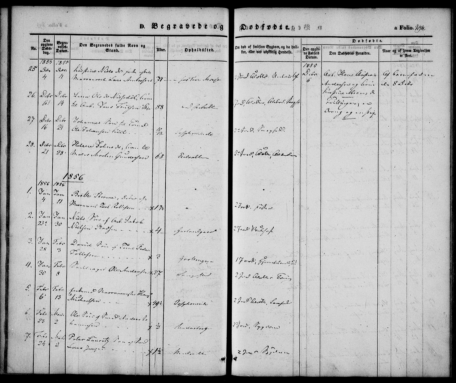 Larvik kirkebøker, AV/SAKO-A-352/F/Fb/L0003: Parish register (official) no. II 3, 1842-1856, p. 294