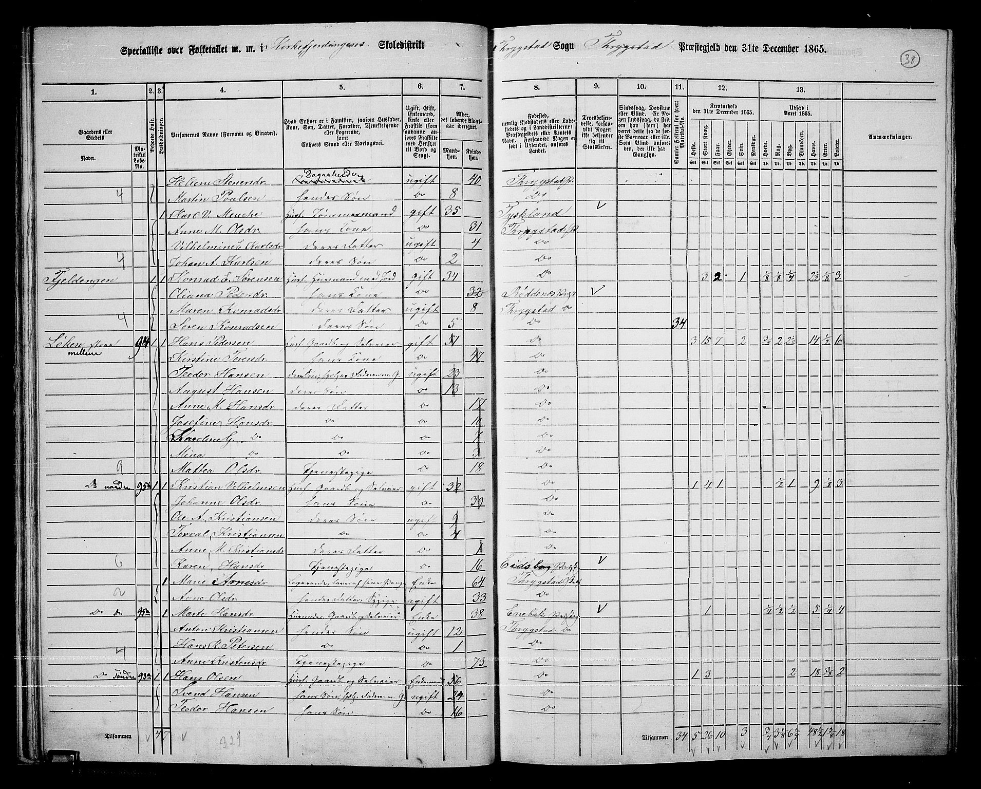 RA, 1865 census for Trøgstad, 1865, p. 37