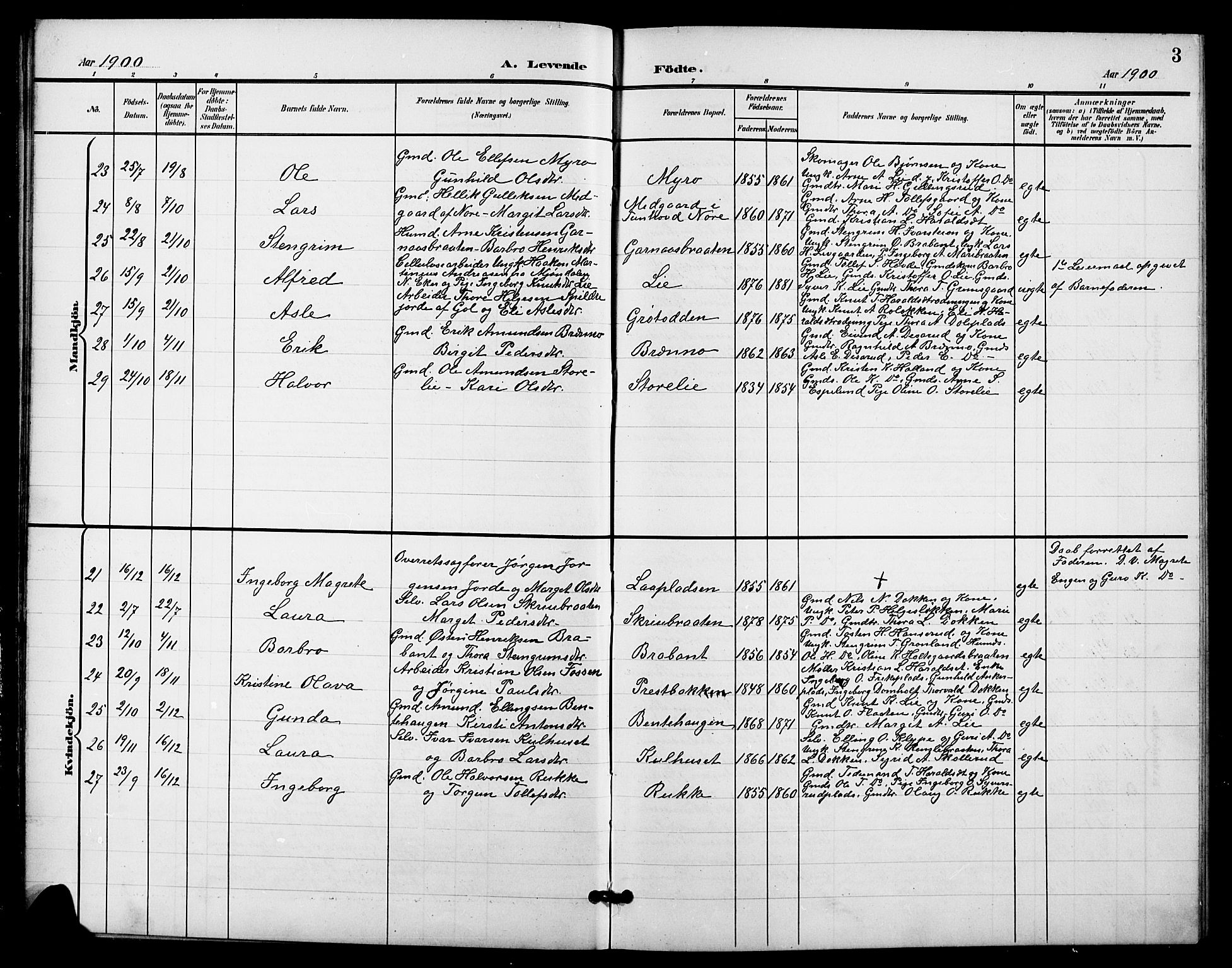 Nes kirkebøker, AV/SAKO-A-236/G/Ga/L0004: Parish register (copy) no. I 4, 1900-1925, p. 3