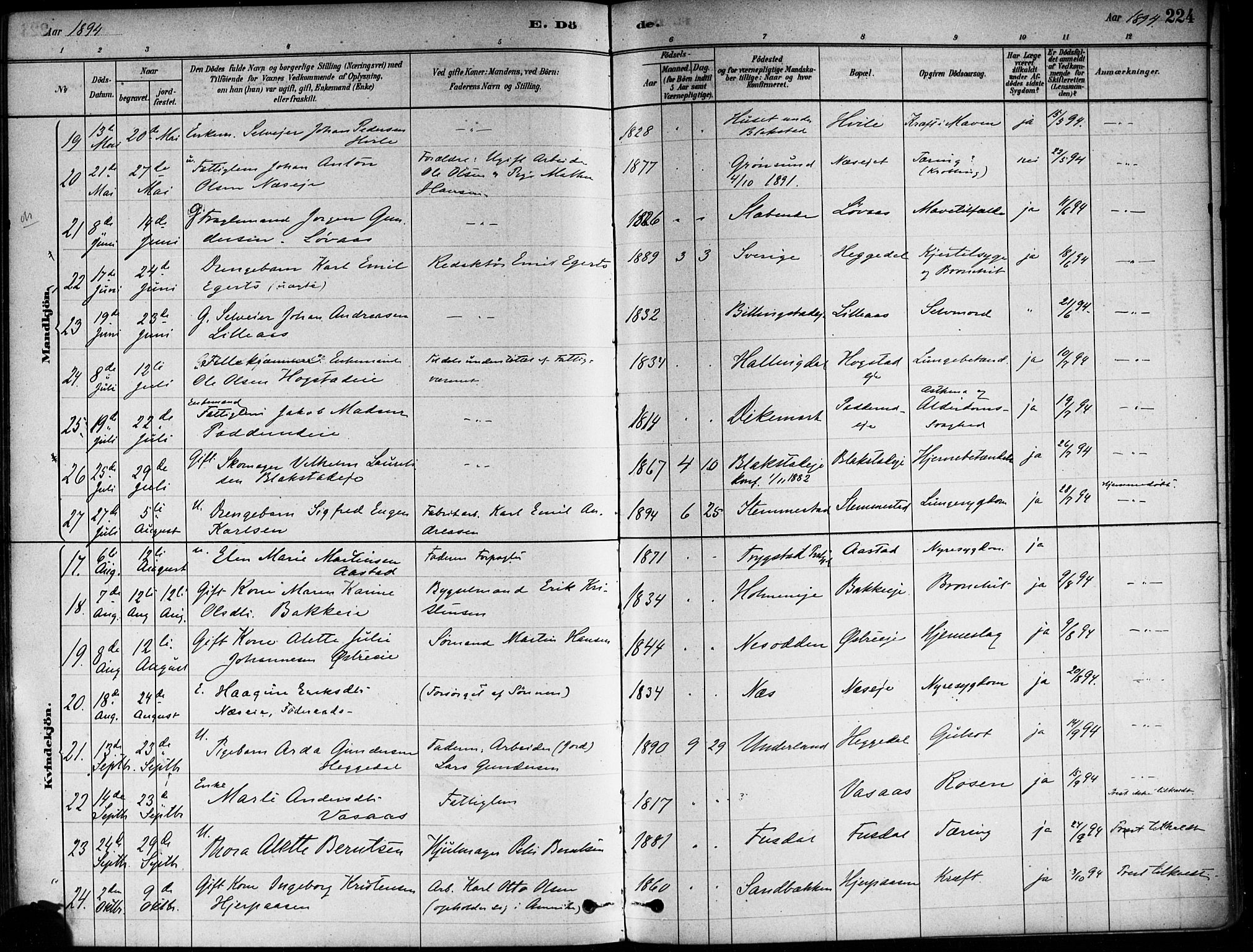 Asker prestekontor Kirkebøker, AV/SAO-A-10256a/F/Fa/L0013: Parish register (official) no. I 13, 1879-1896, p. 224