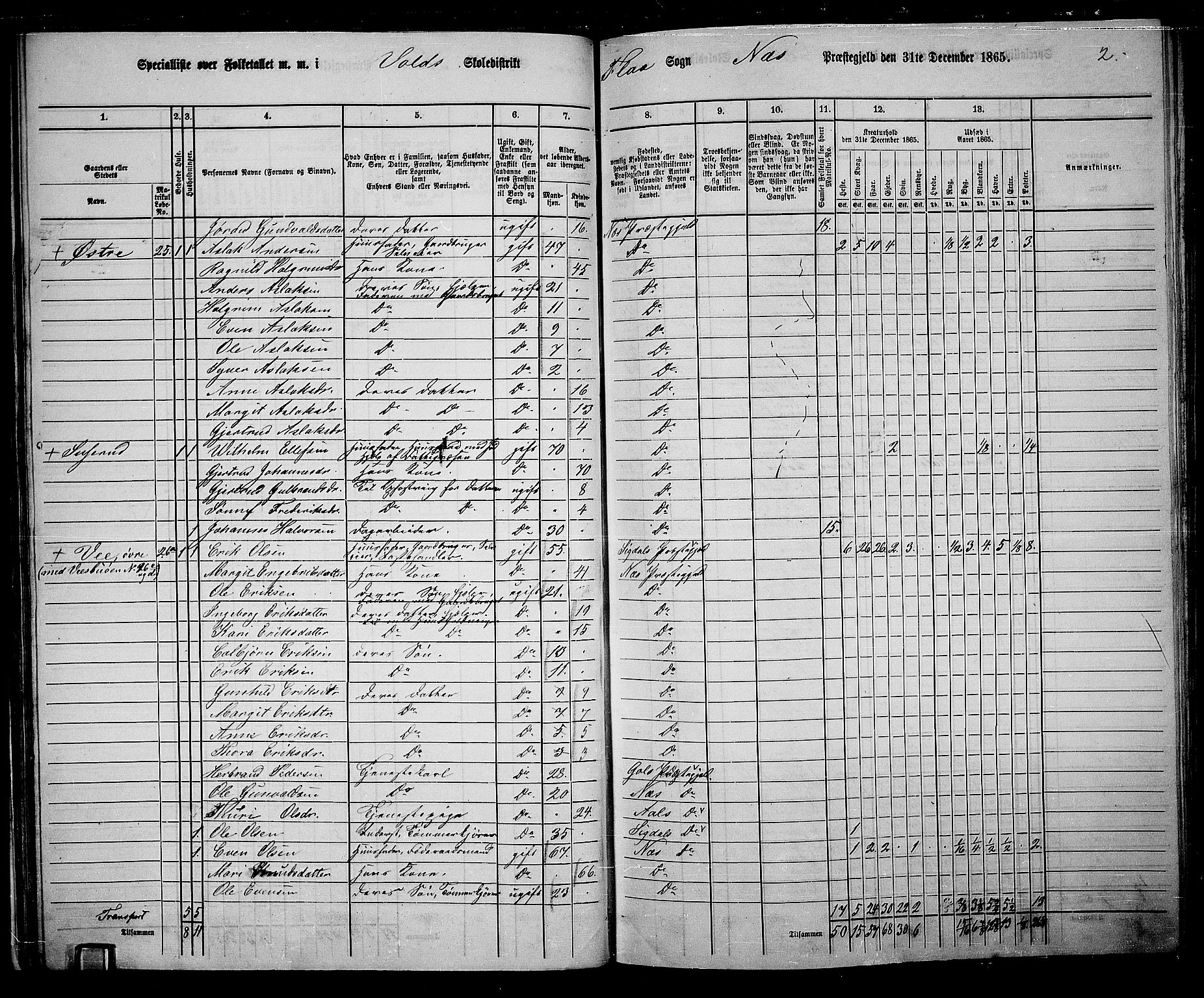 RA, 1865 census for Nes, 1865, p. 45